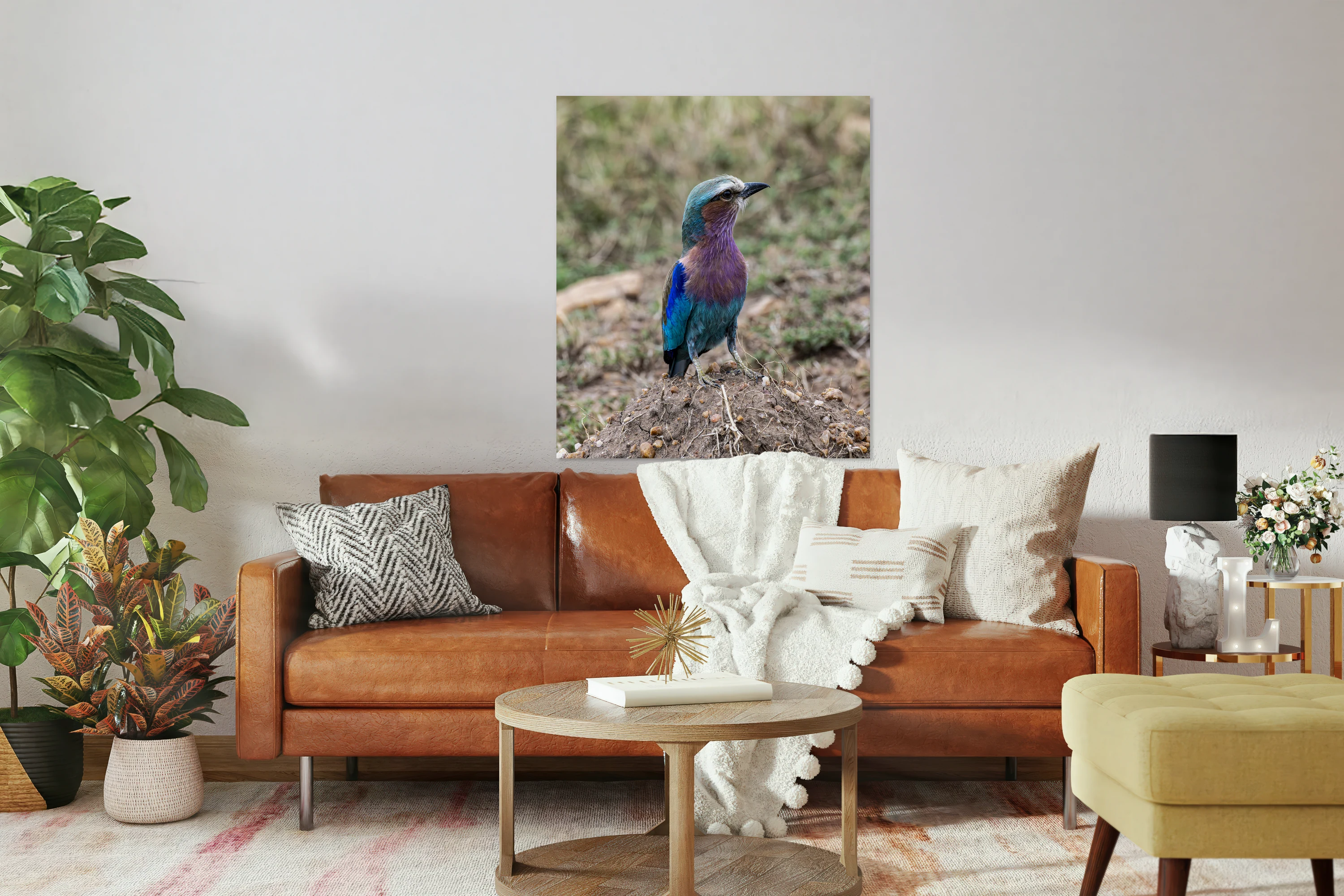 Iilac breasted roller