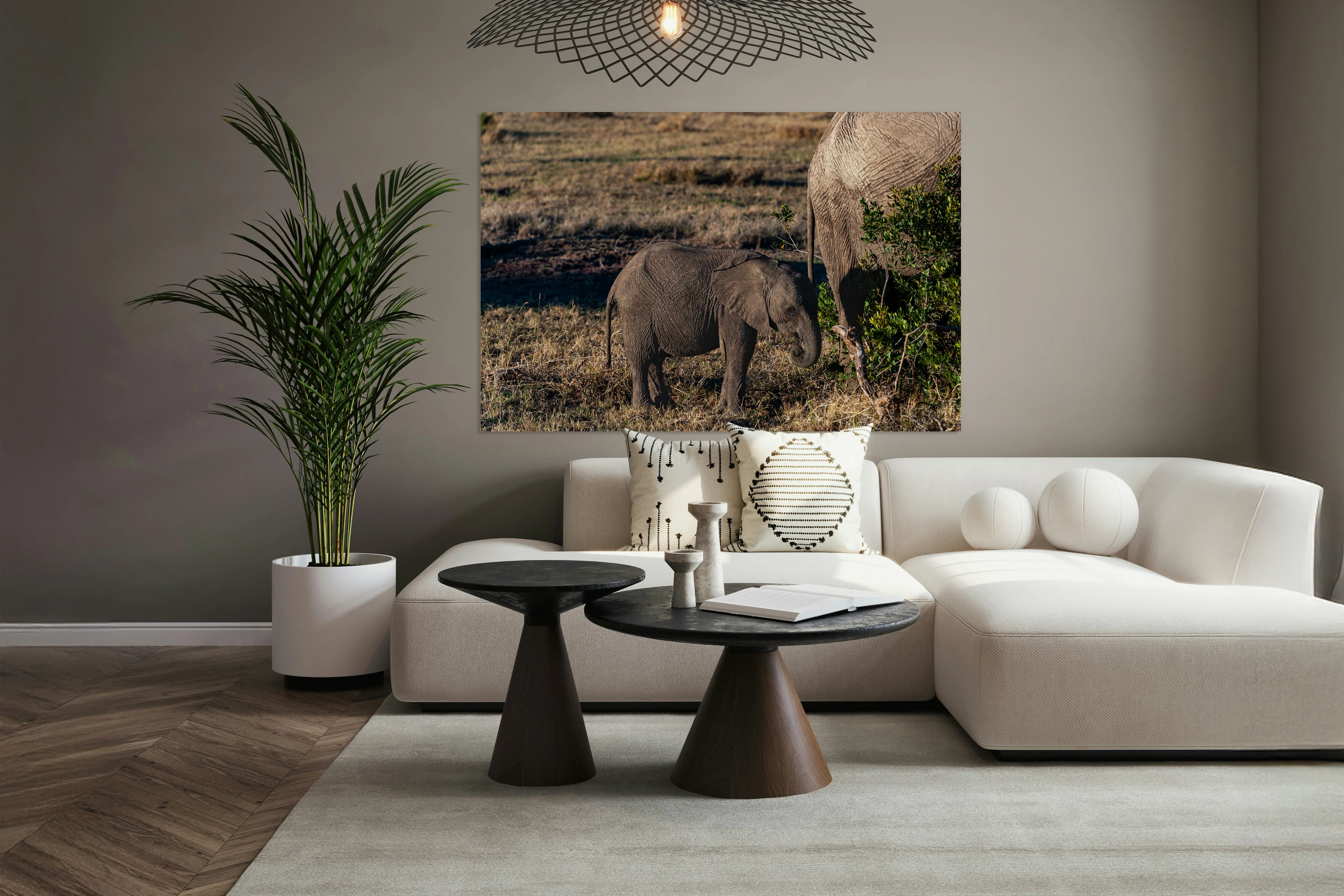 African elephant