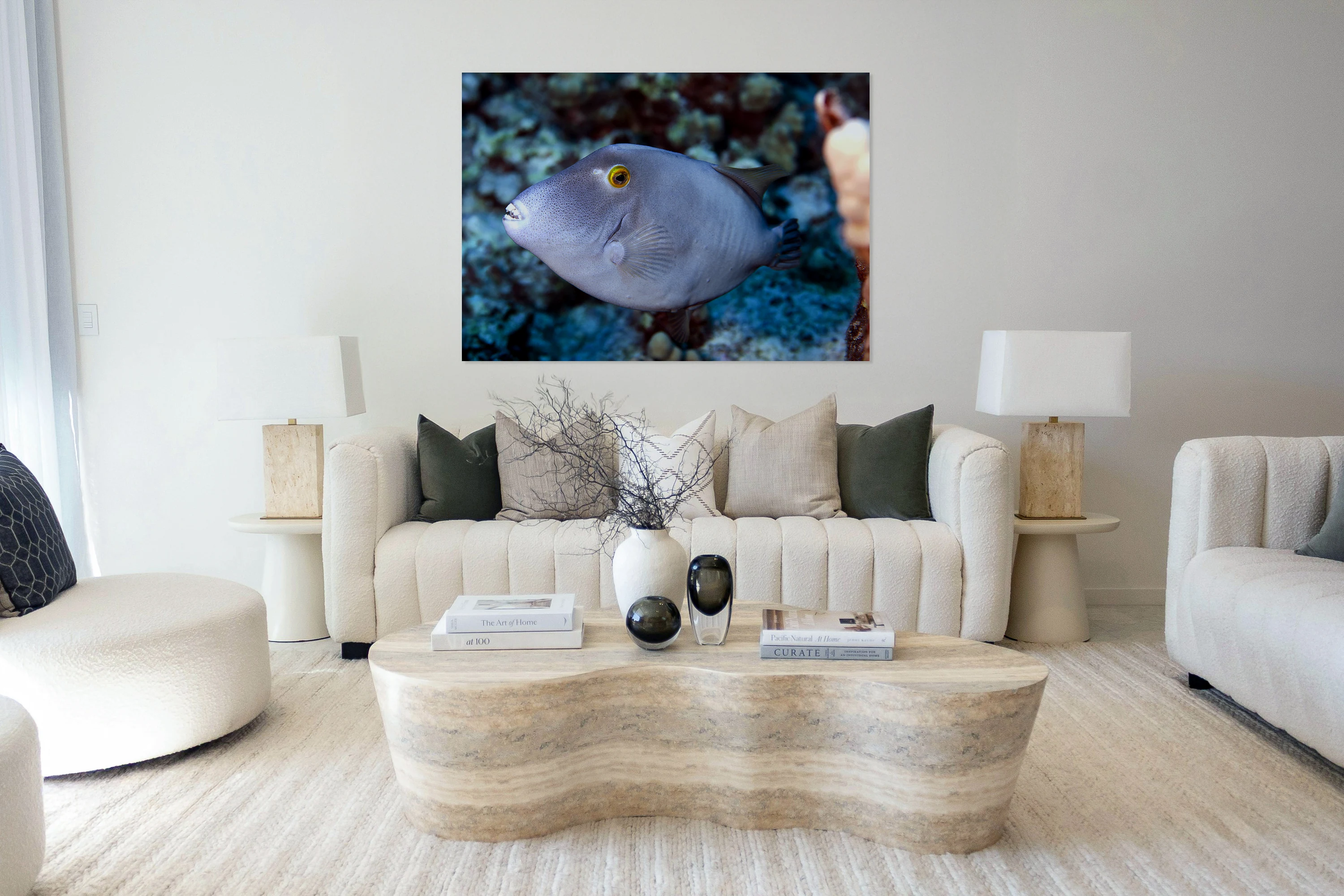 Parrot fish