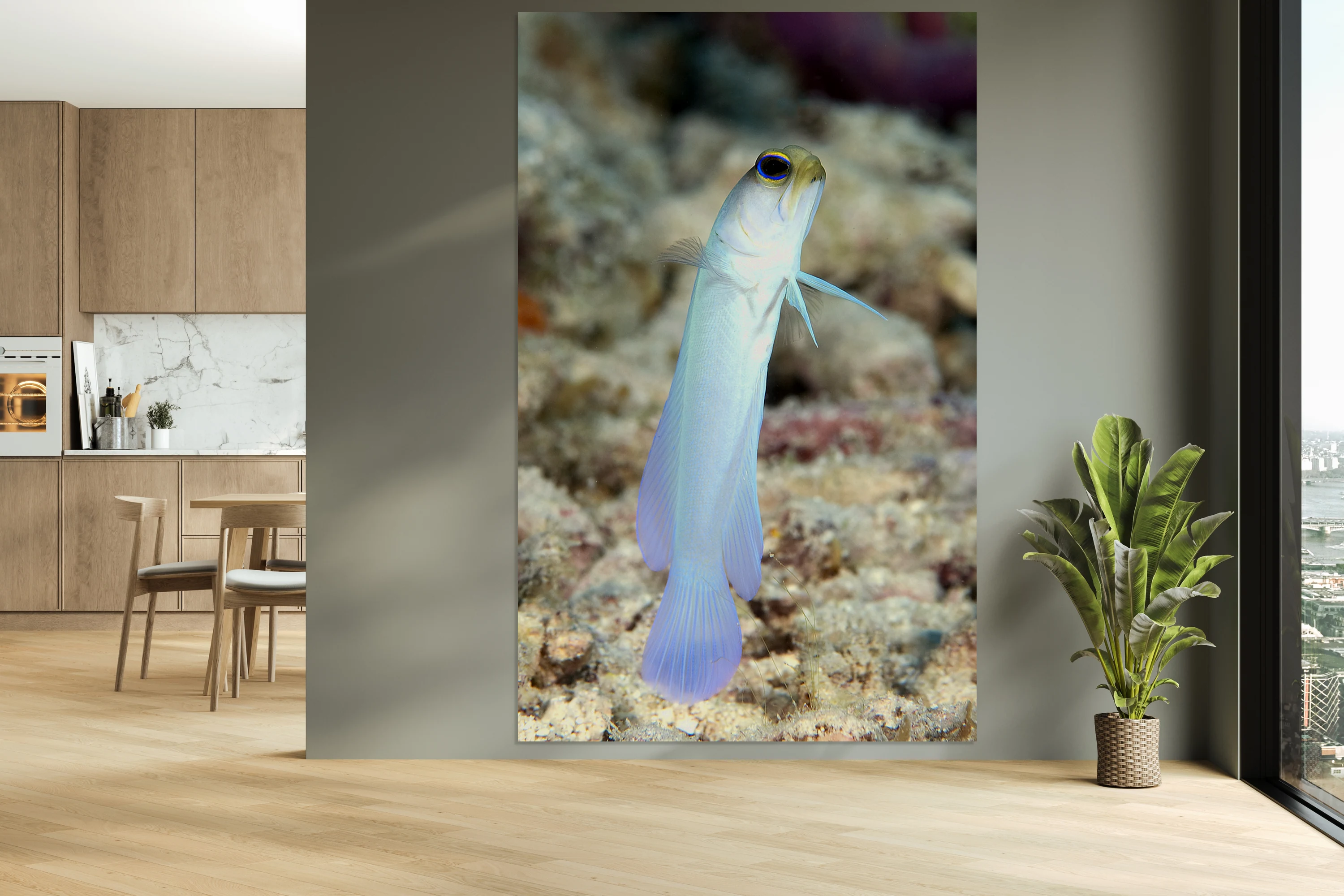 Yellowhead Jawfish