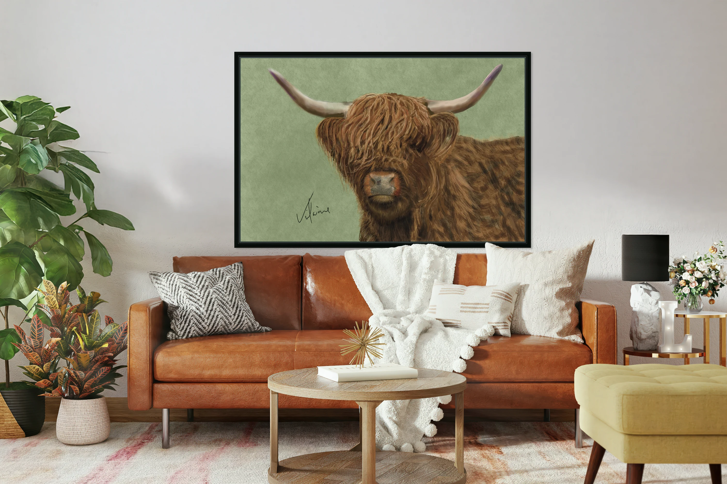 Vache Highland