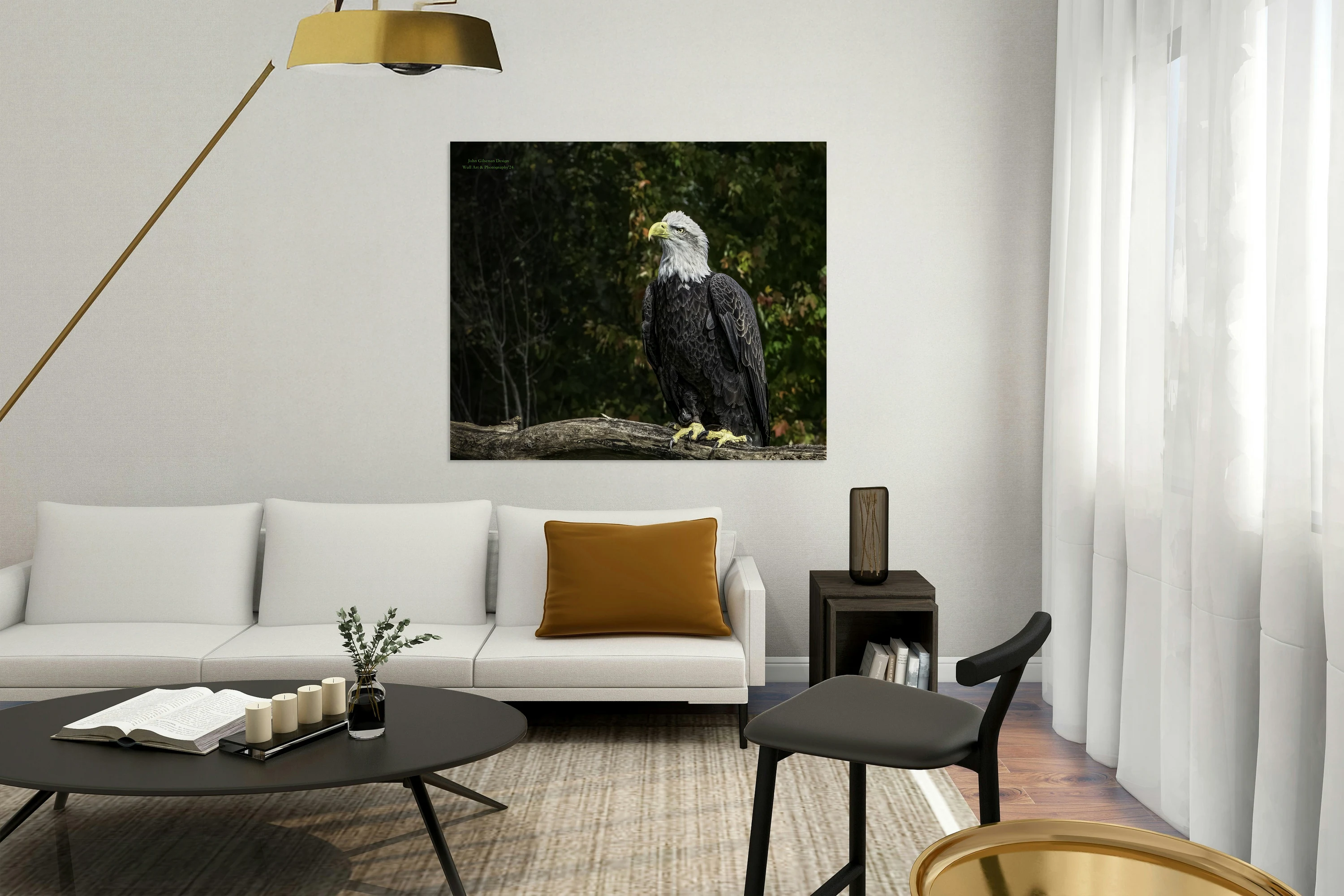 11572 Bald Eagle