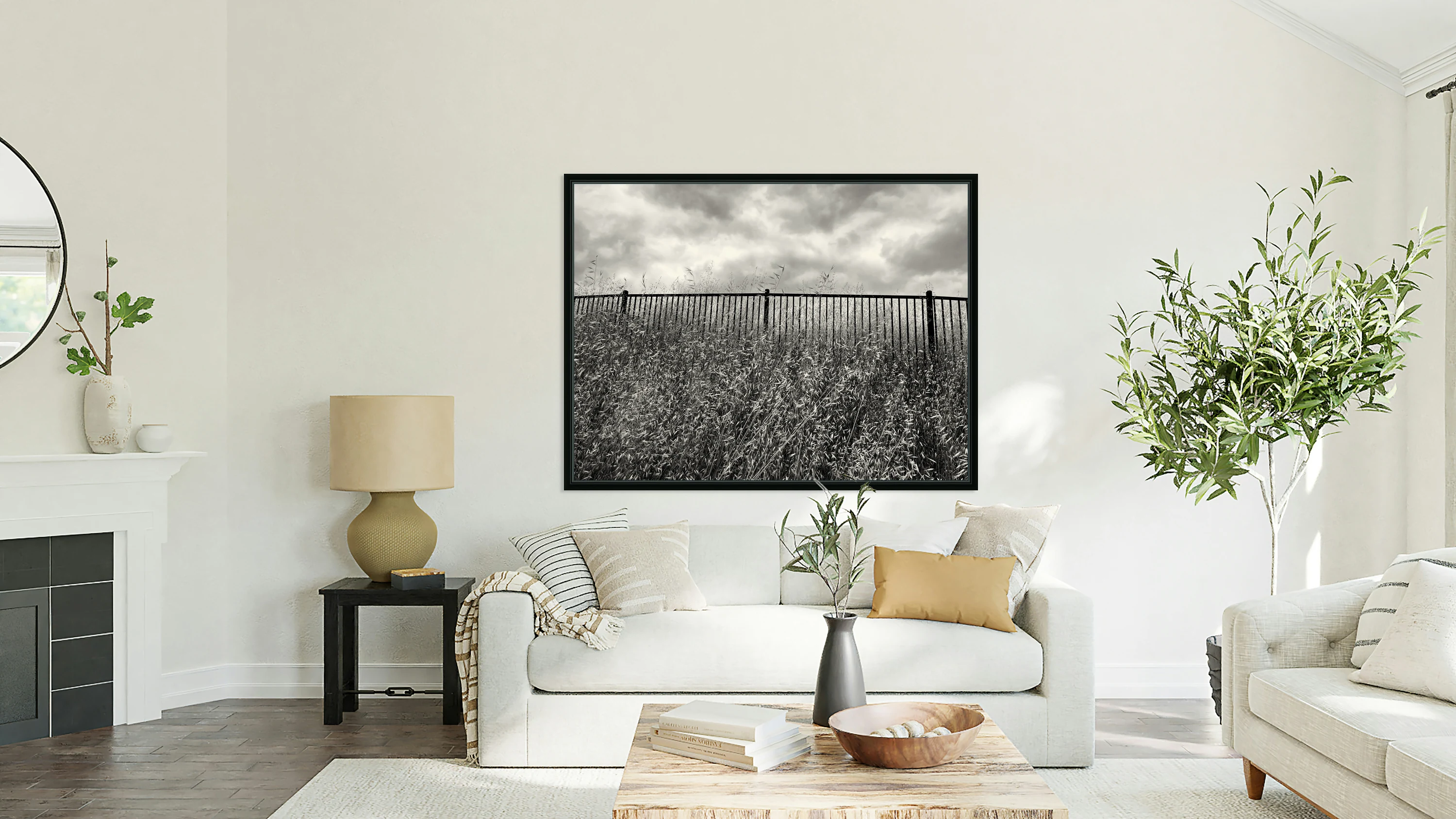 Fenced Field