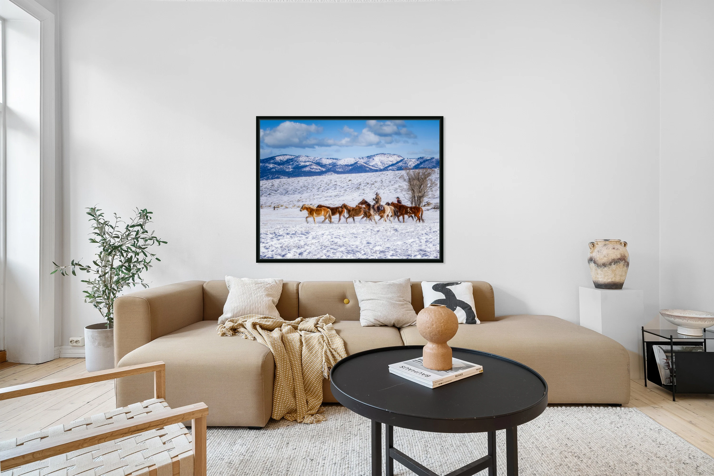 Snowy Roundup