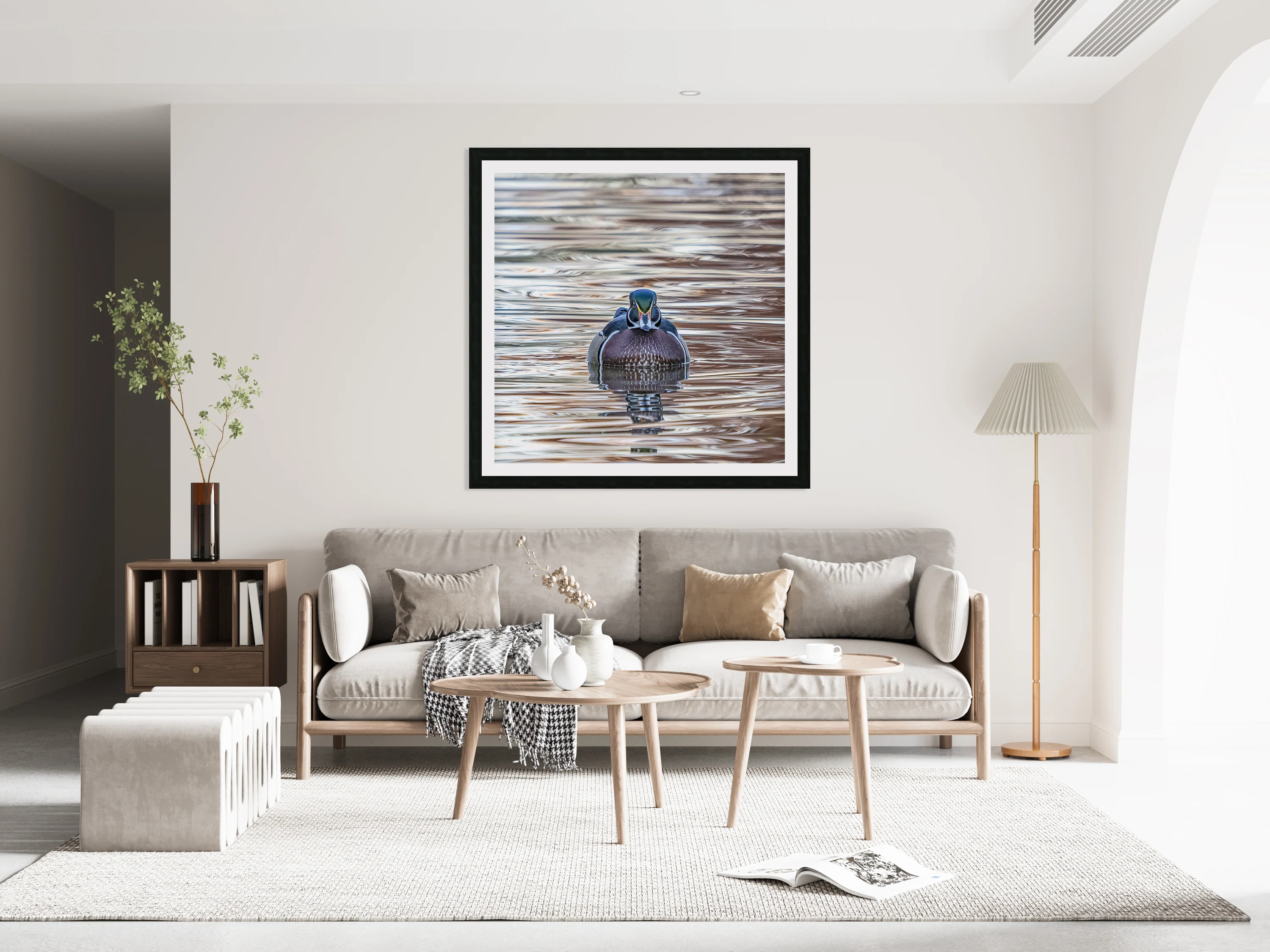 Staredown Duck