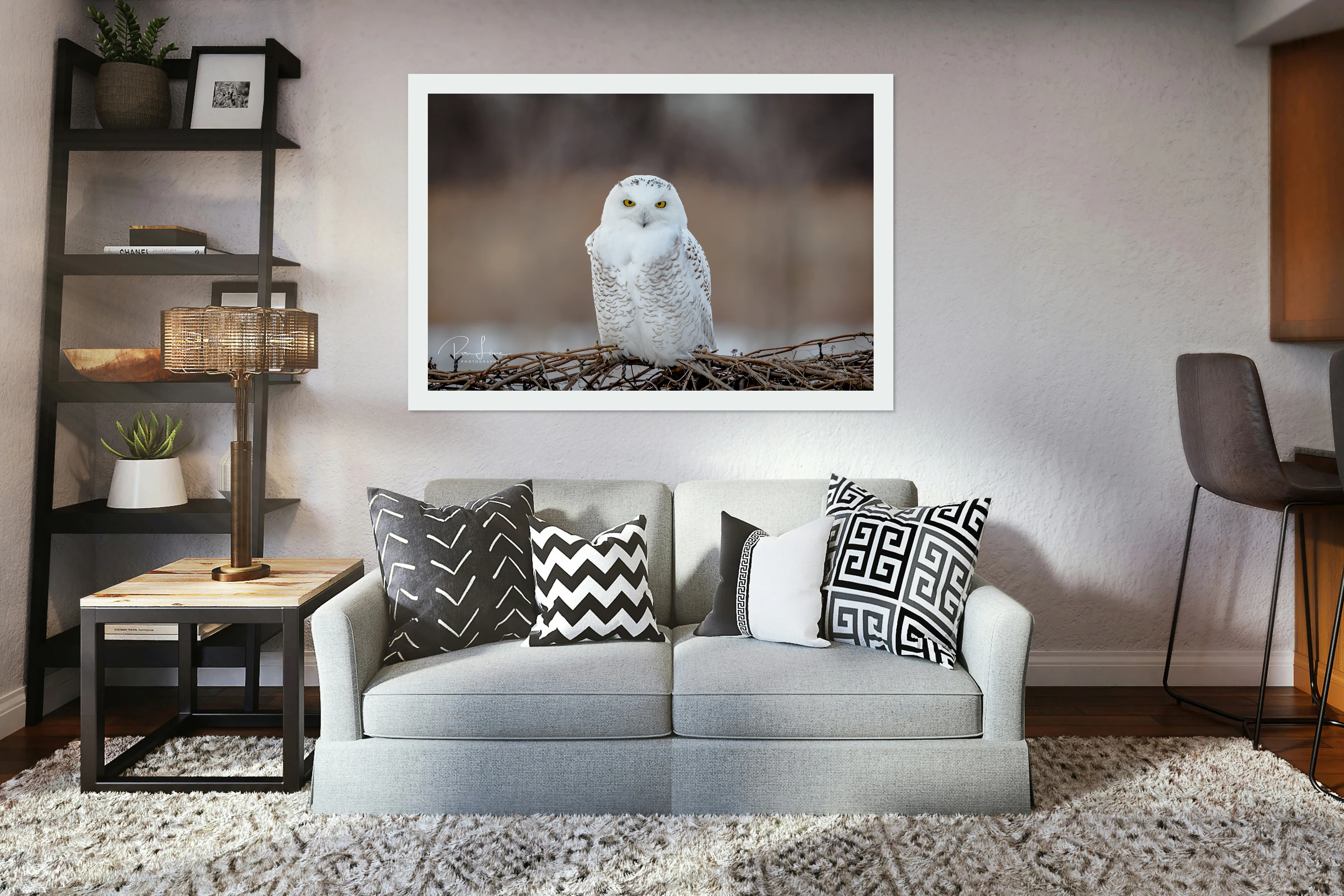 Snowy Owl
