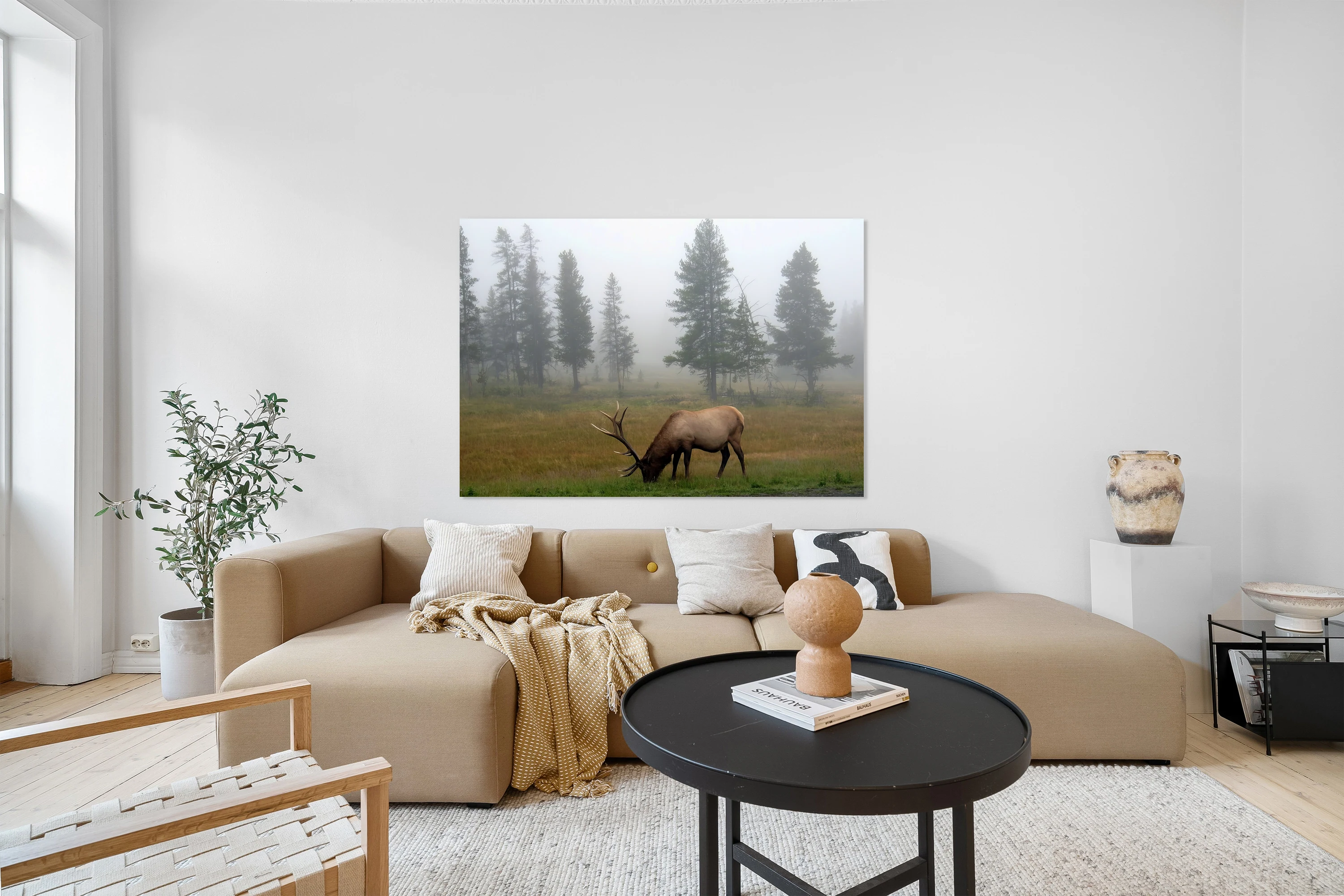 Yellowstone Elk