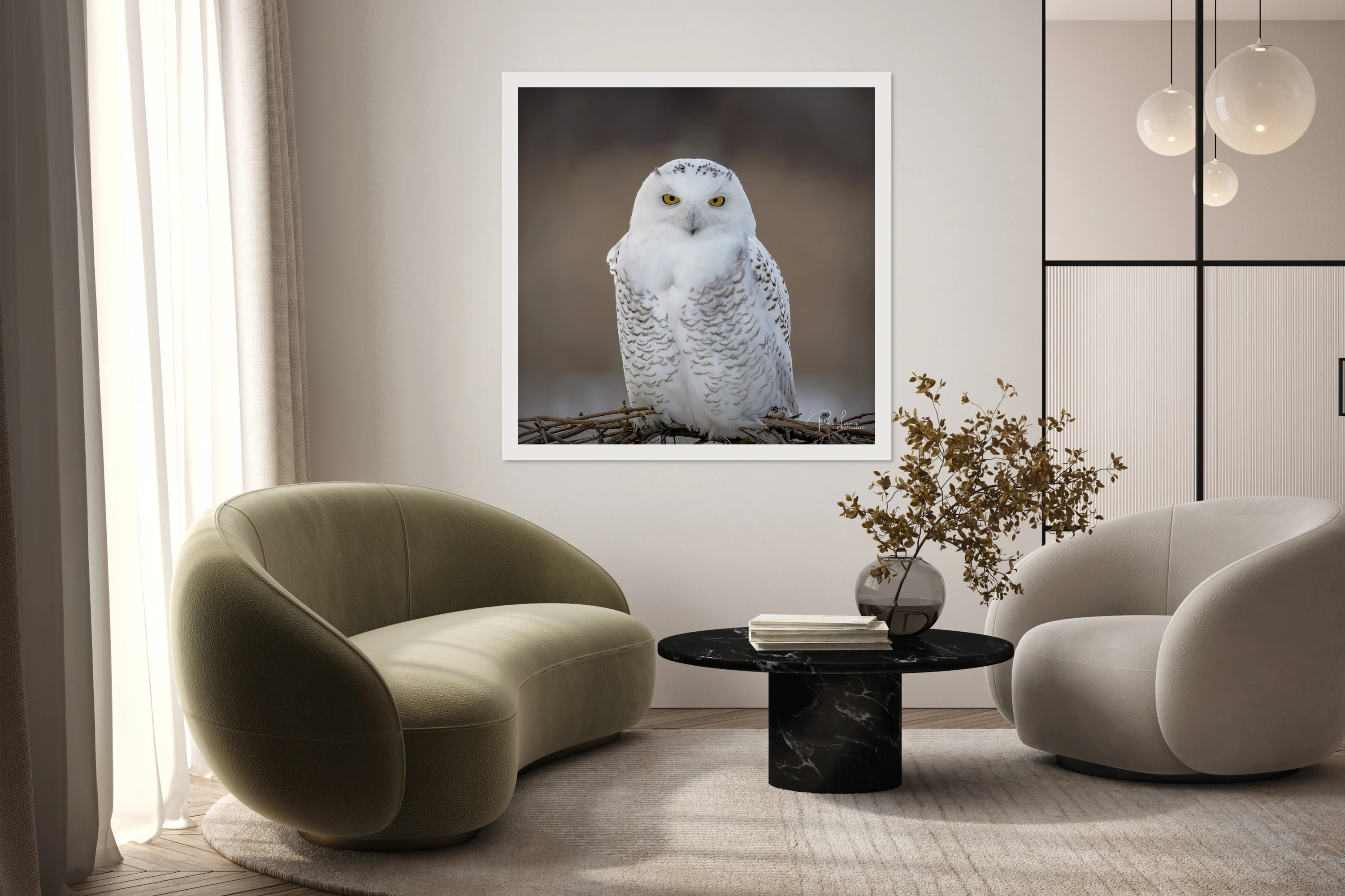 Snowy Owl.