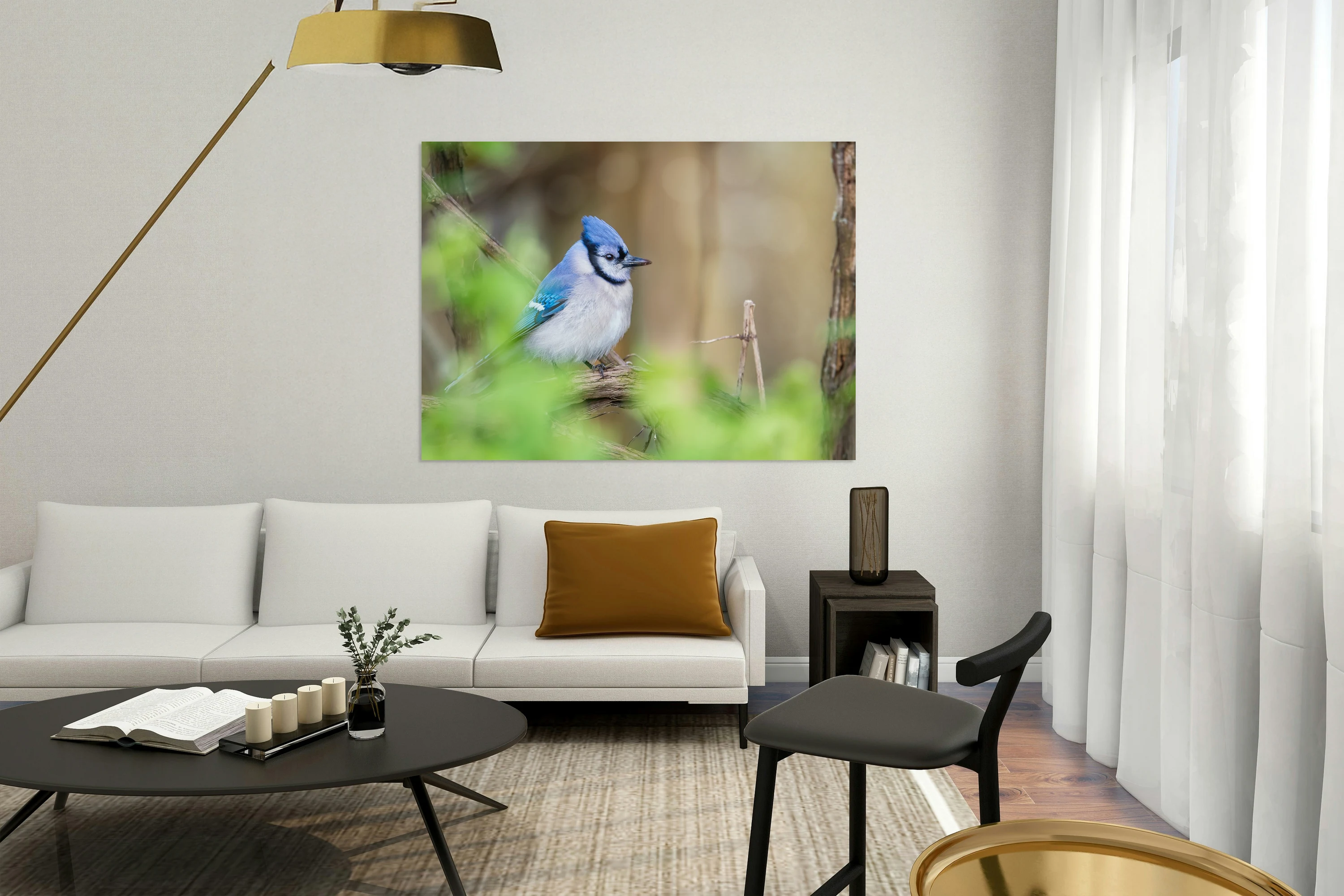 Blue Jay