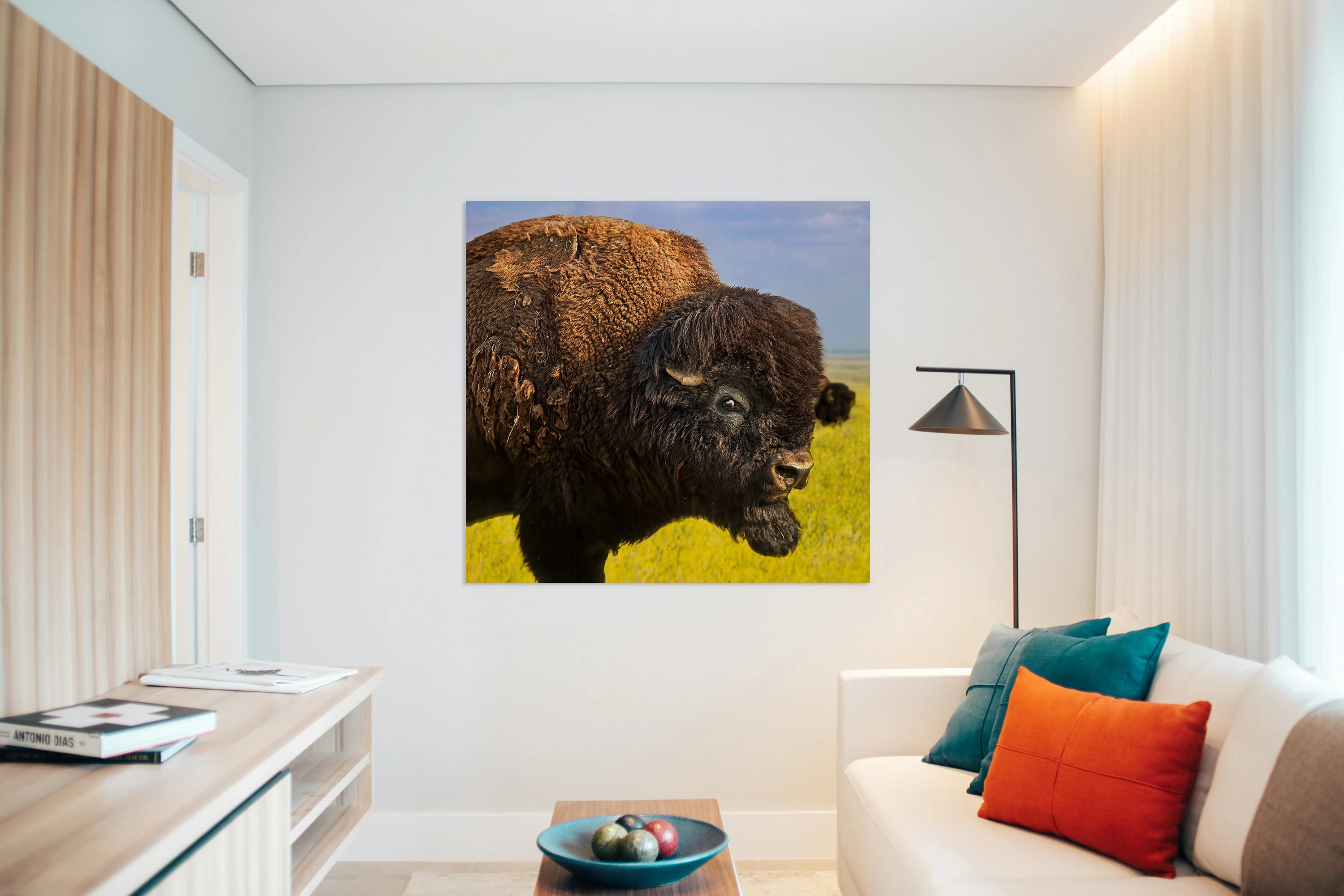 Belligerent Bison