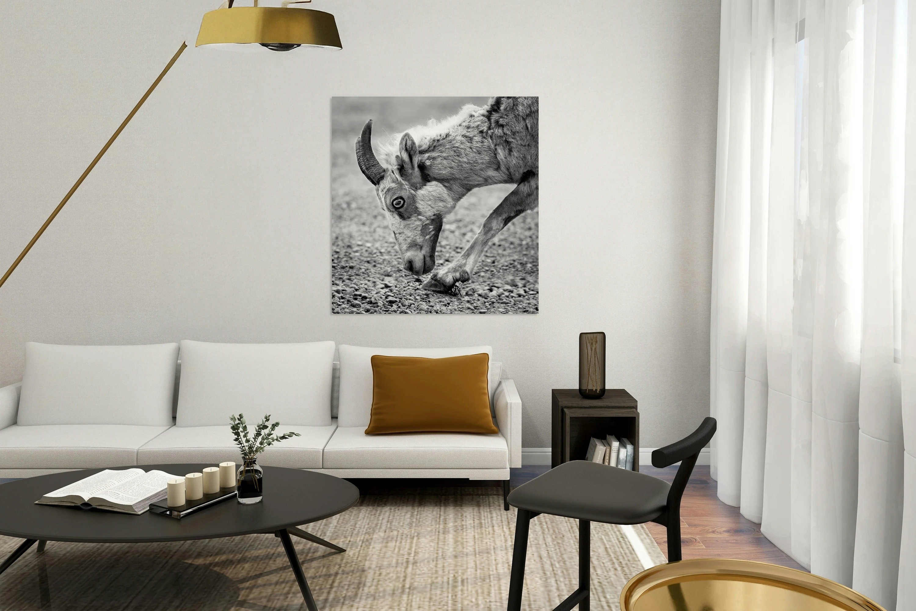 Big Horn Sheep