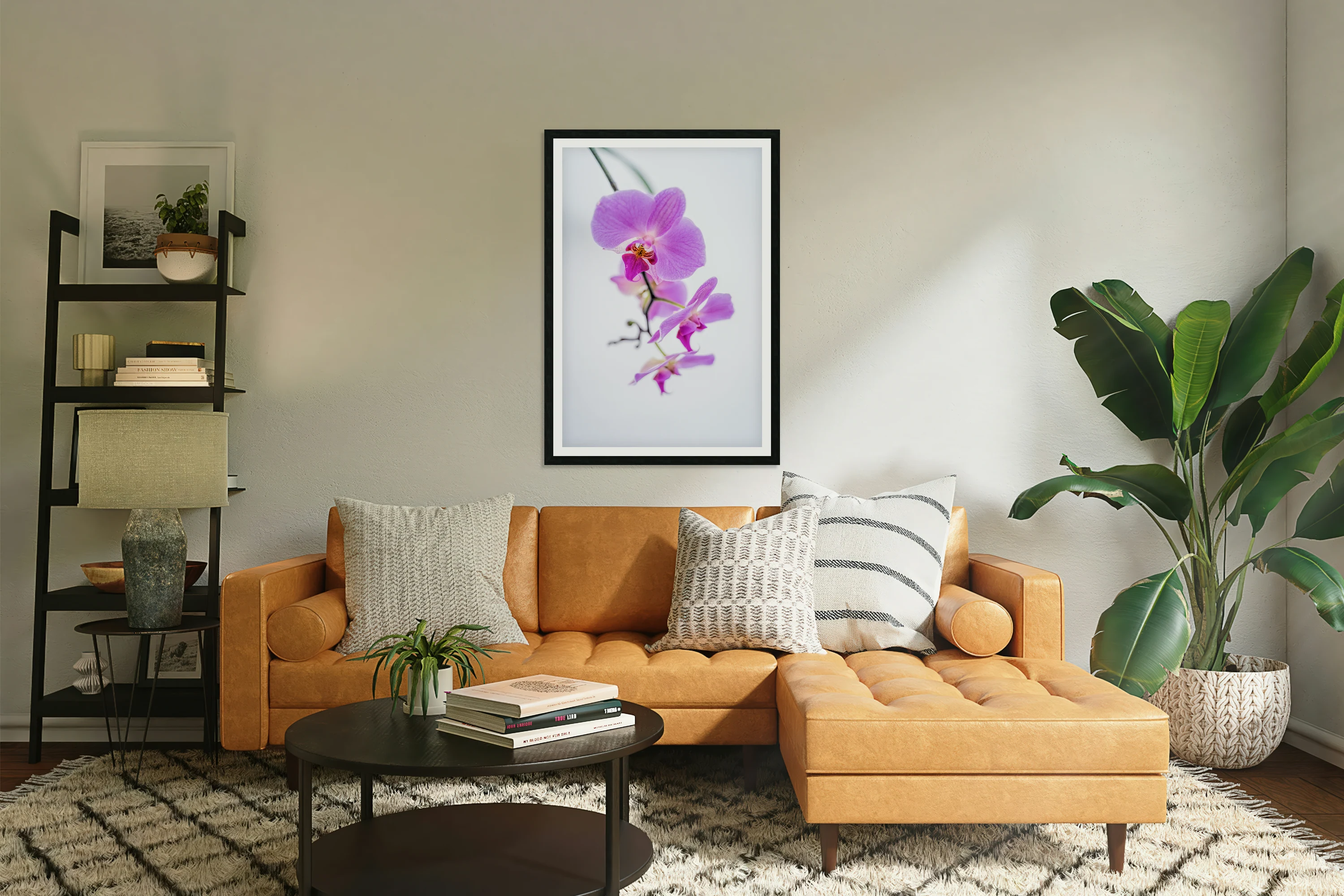 Orchid