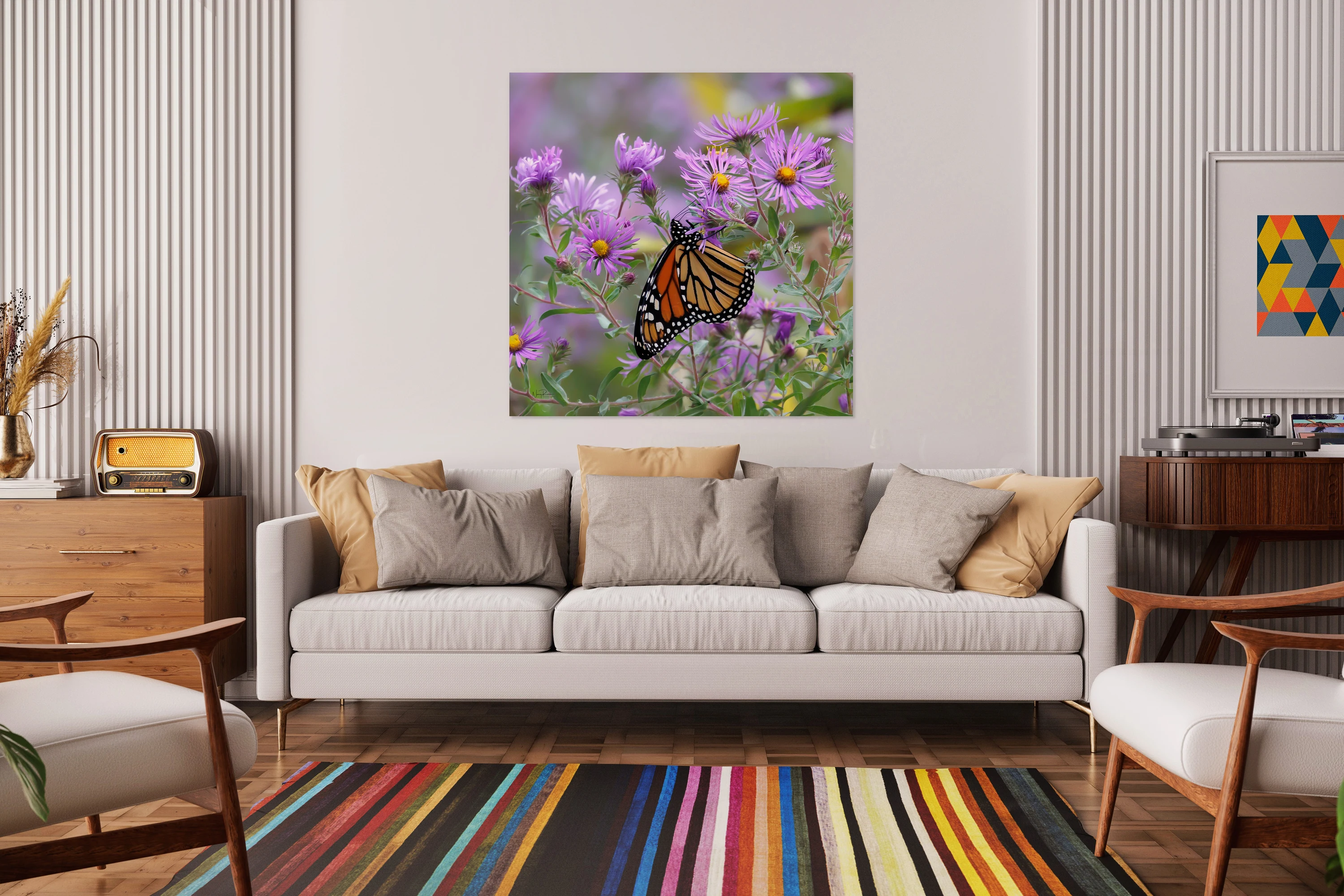 Monarch Butterfly 