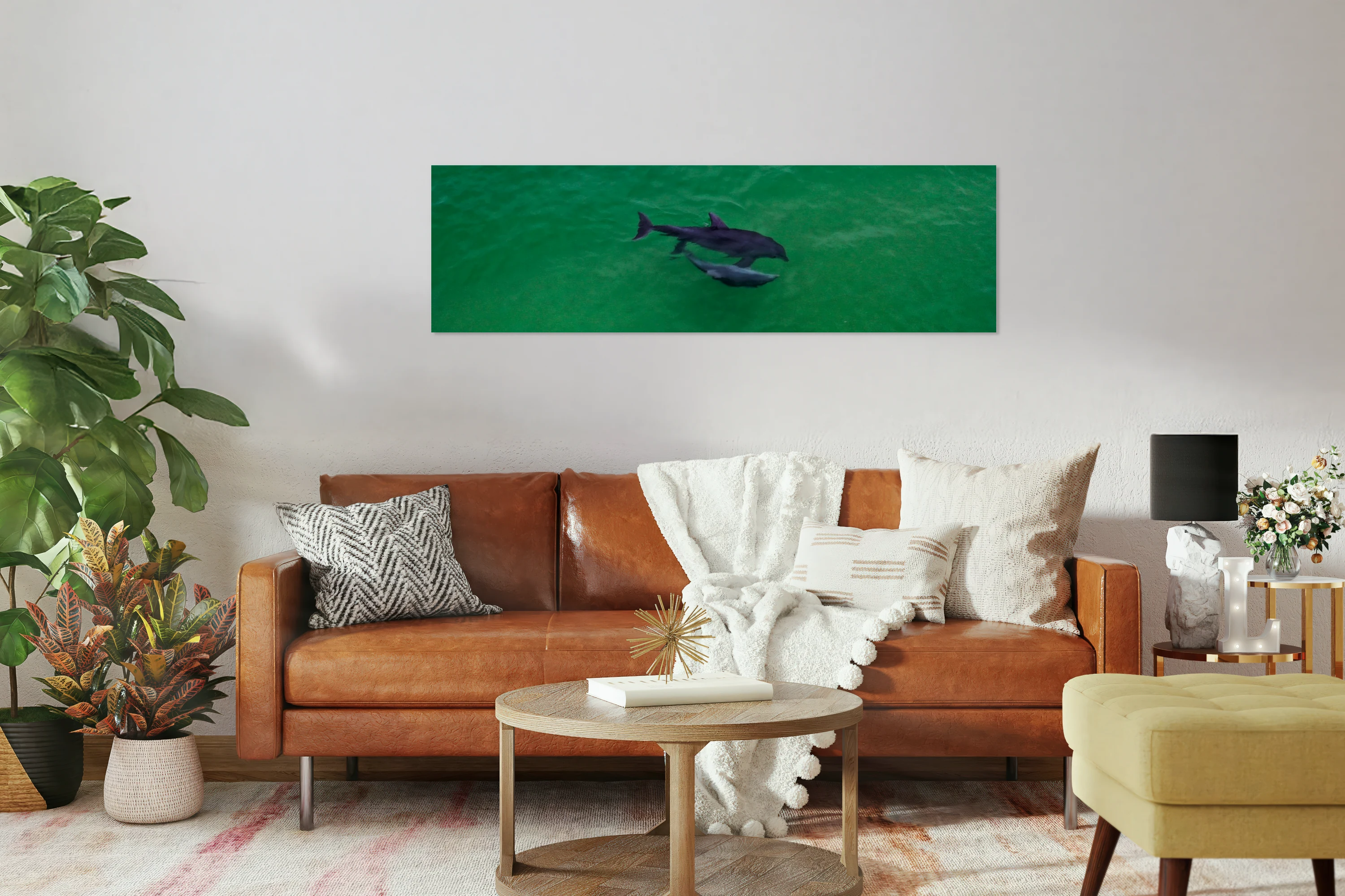 Dolphin Pair