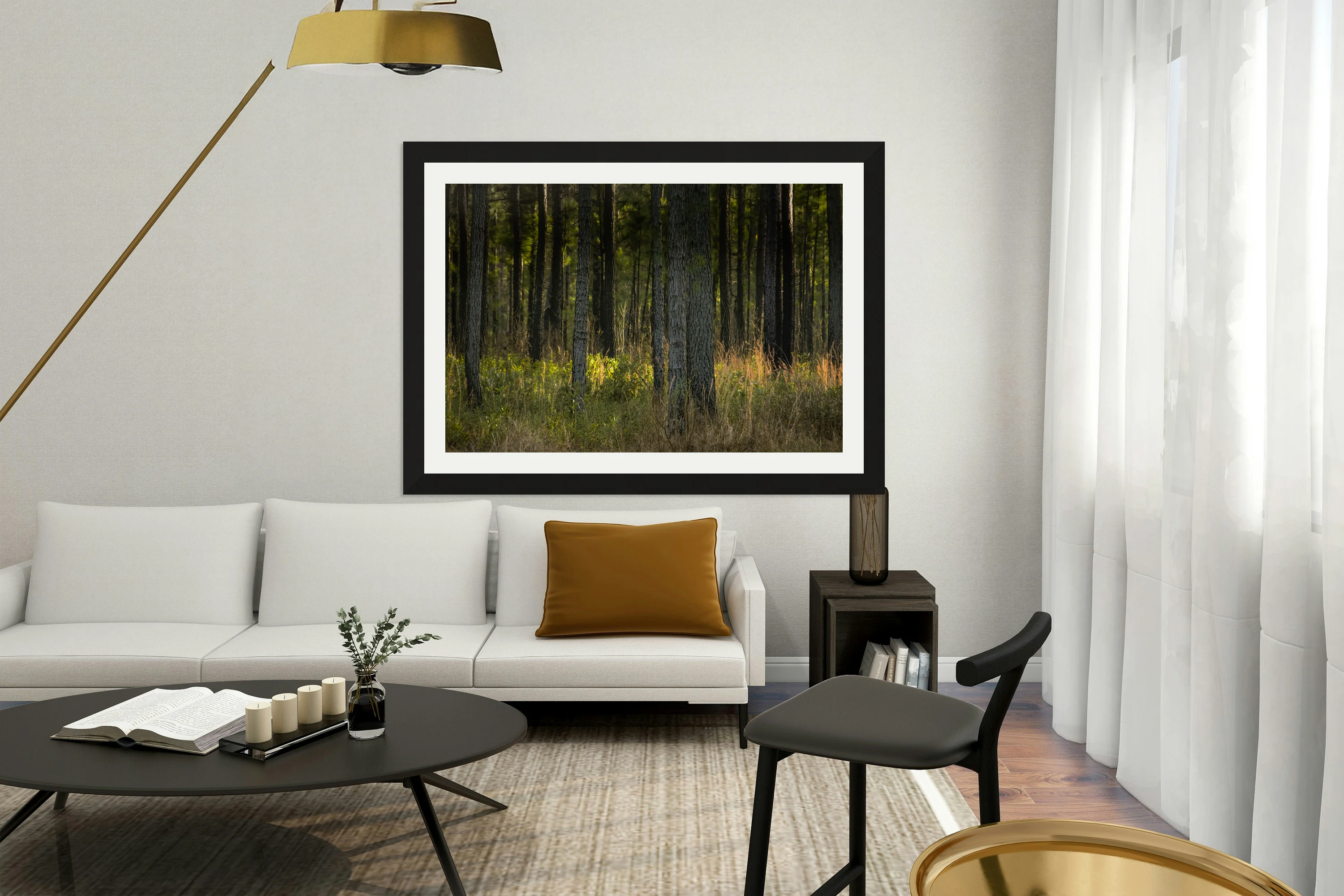 Sunlight Filtering Through Forest Trees