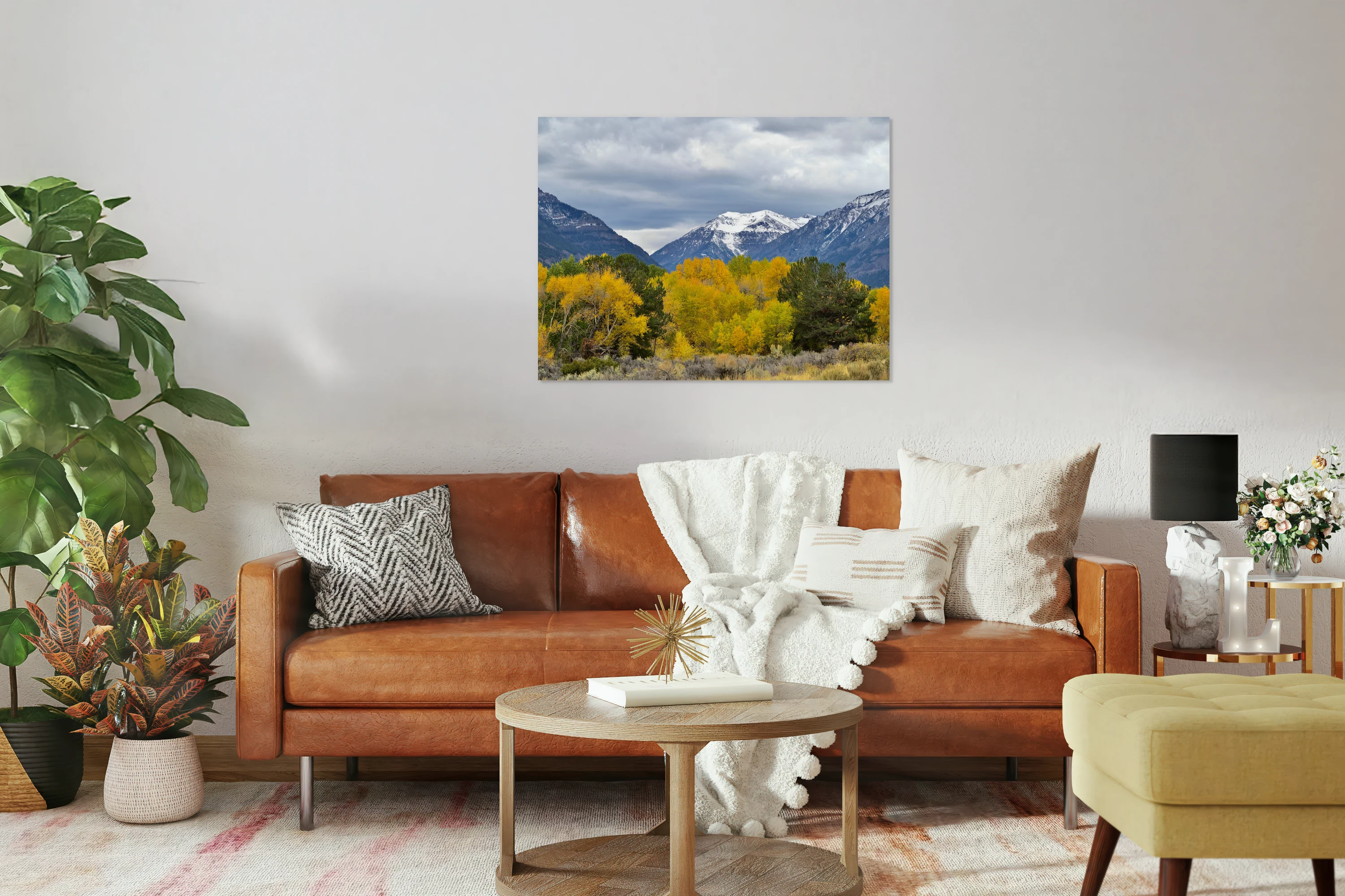 South Fork Splendor