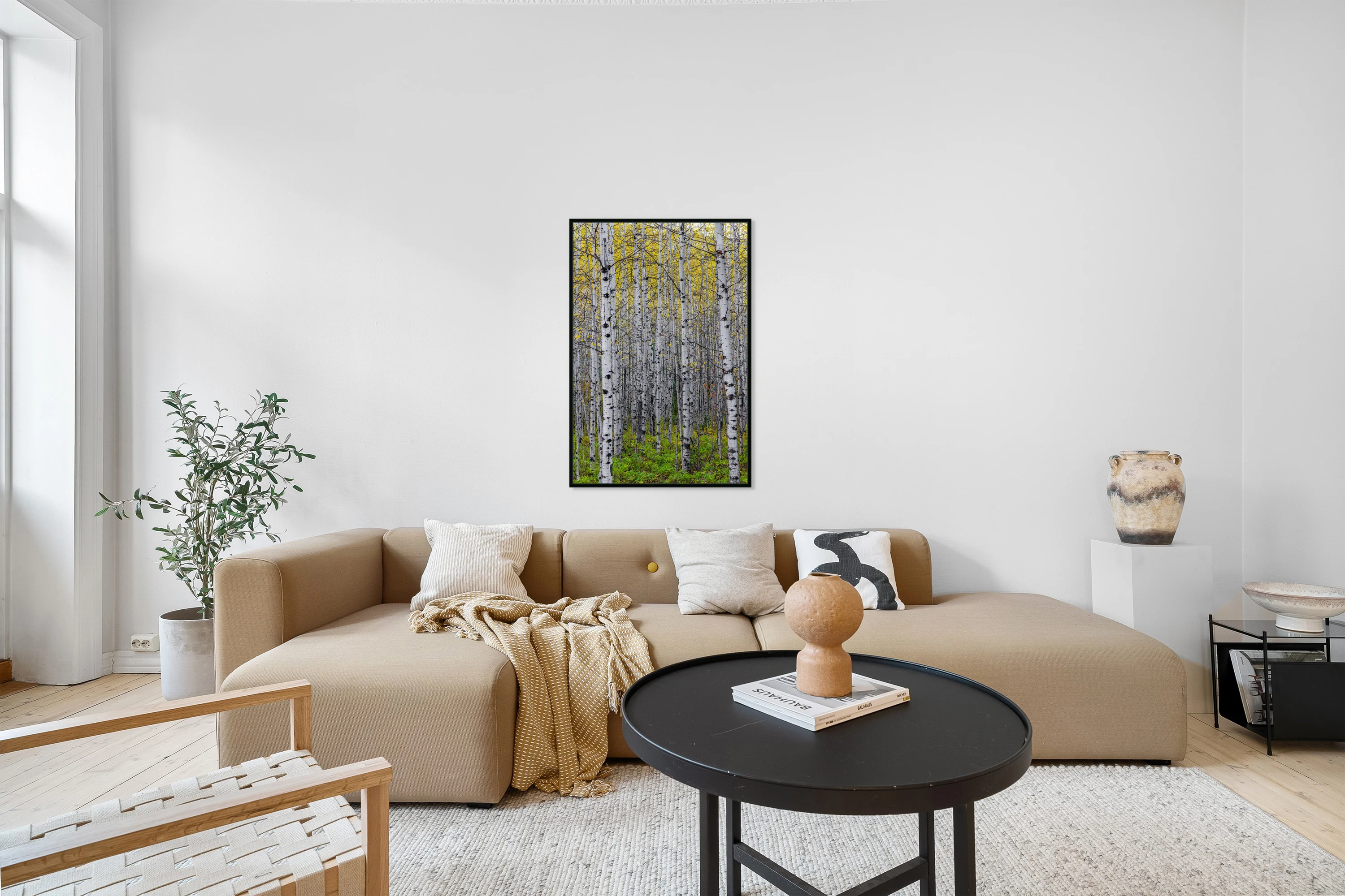 Aspens