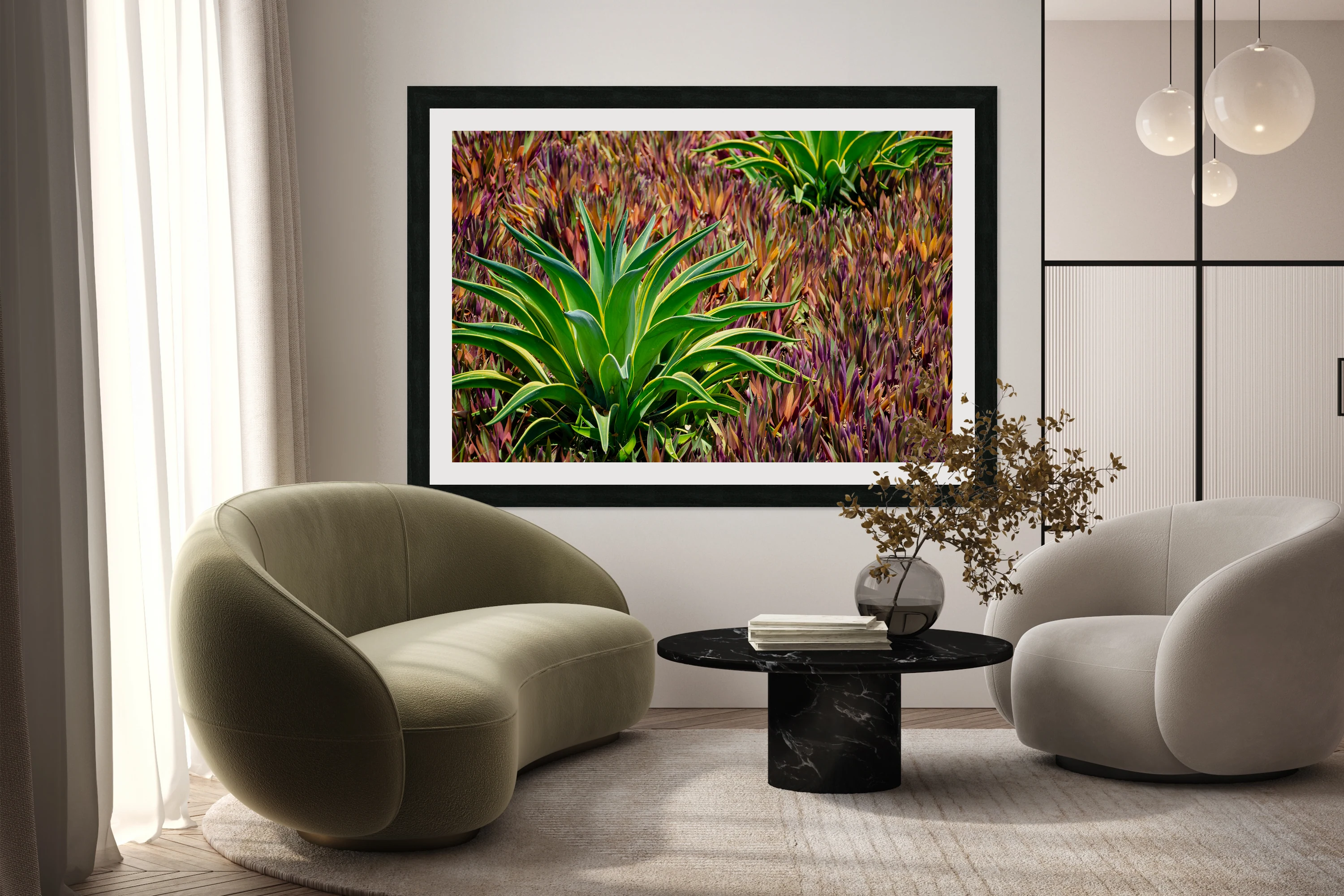 Aloe 