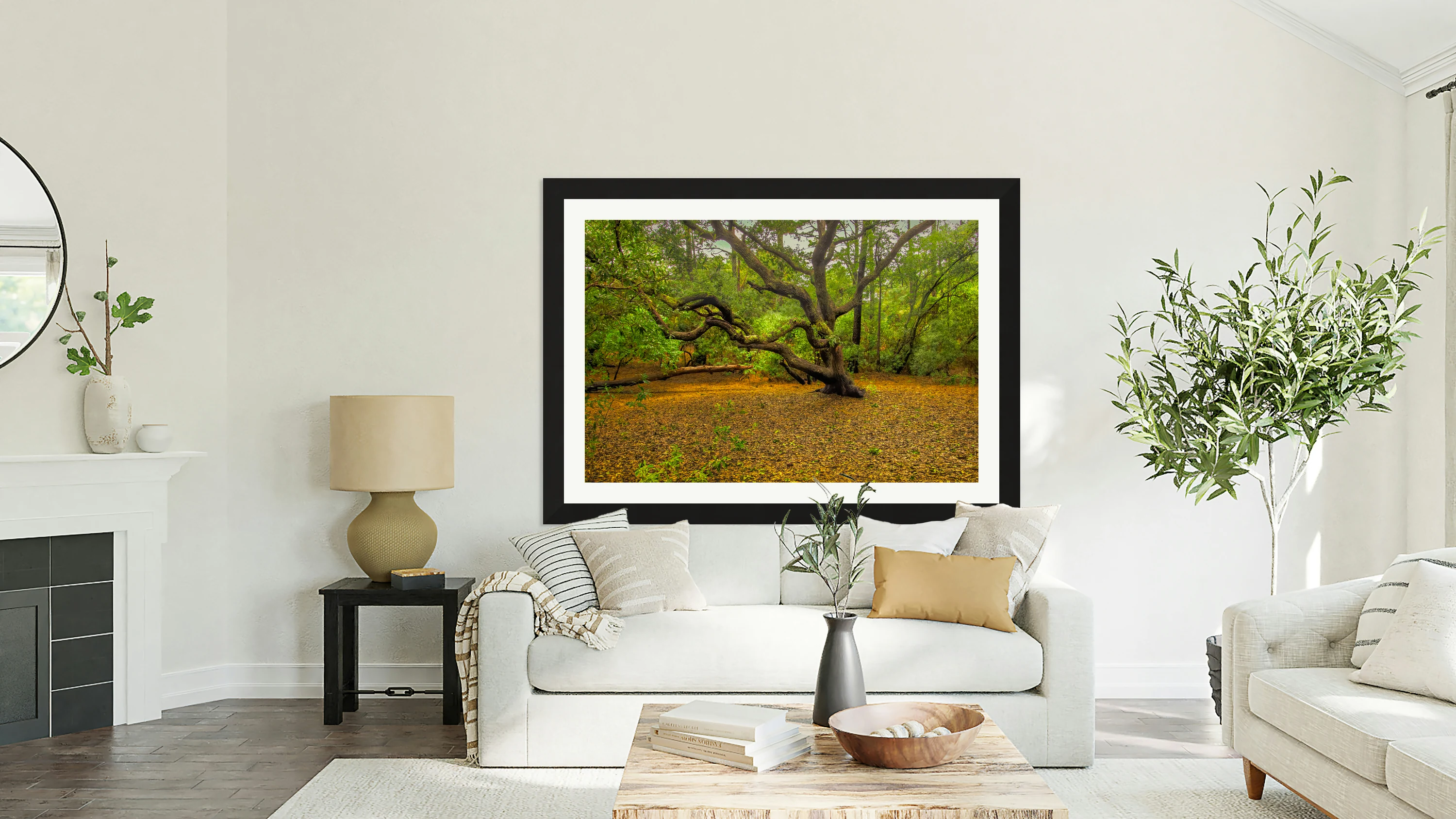 Twisted and Twining Forest Magic