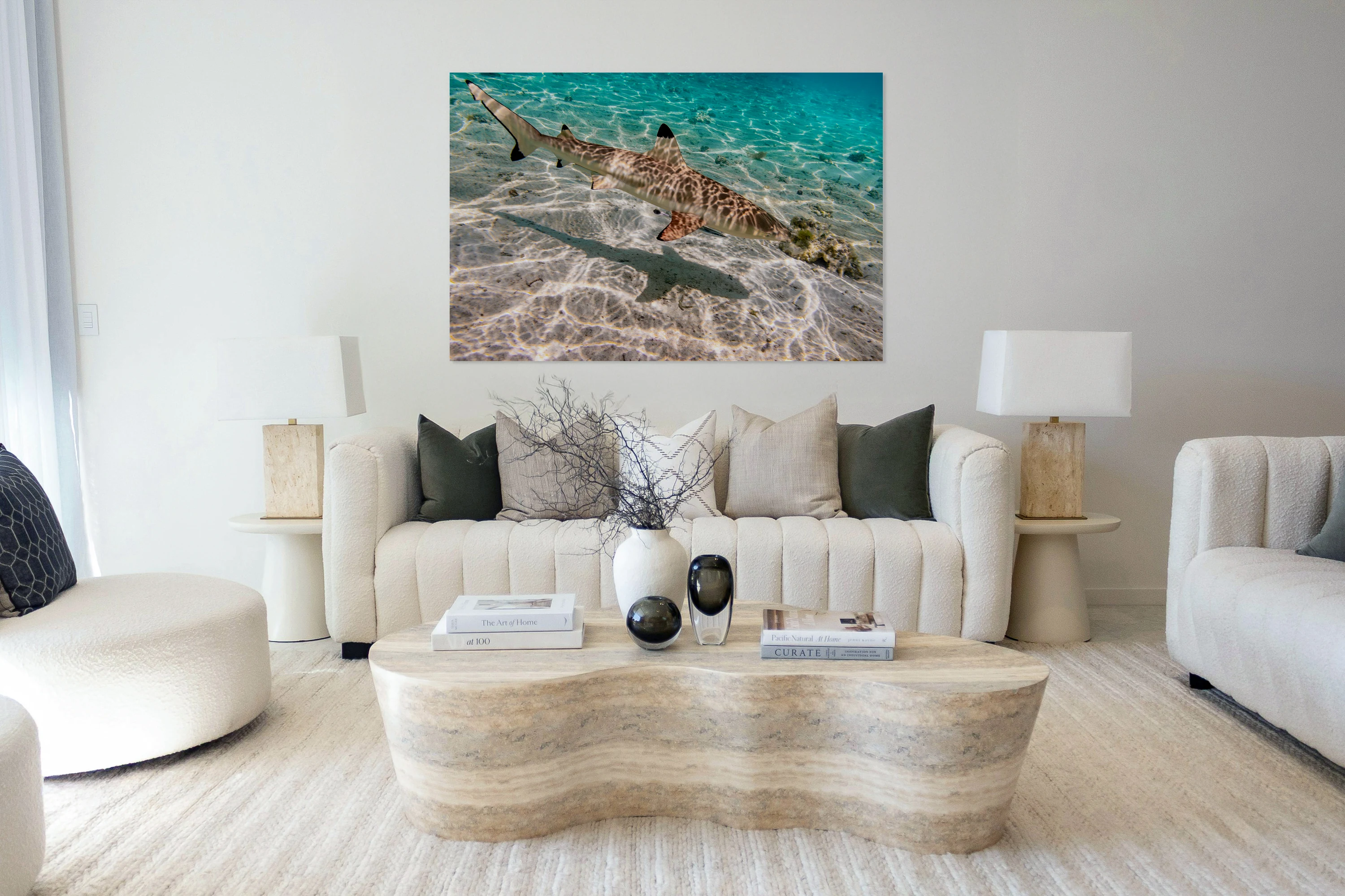 Black Tip Shark 3