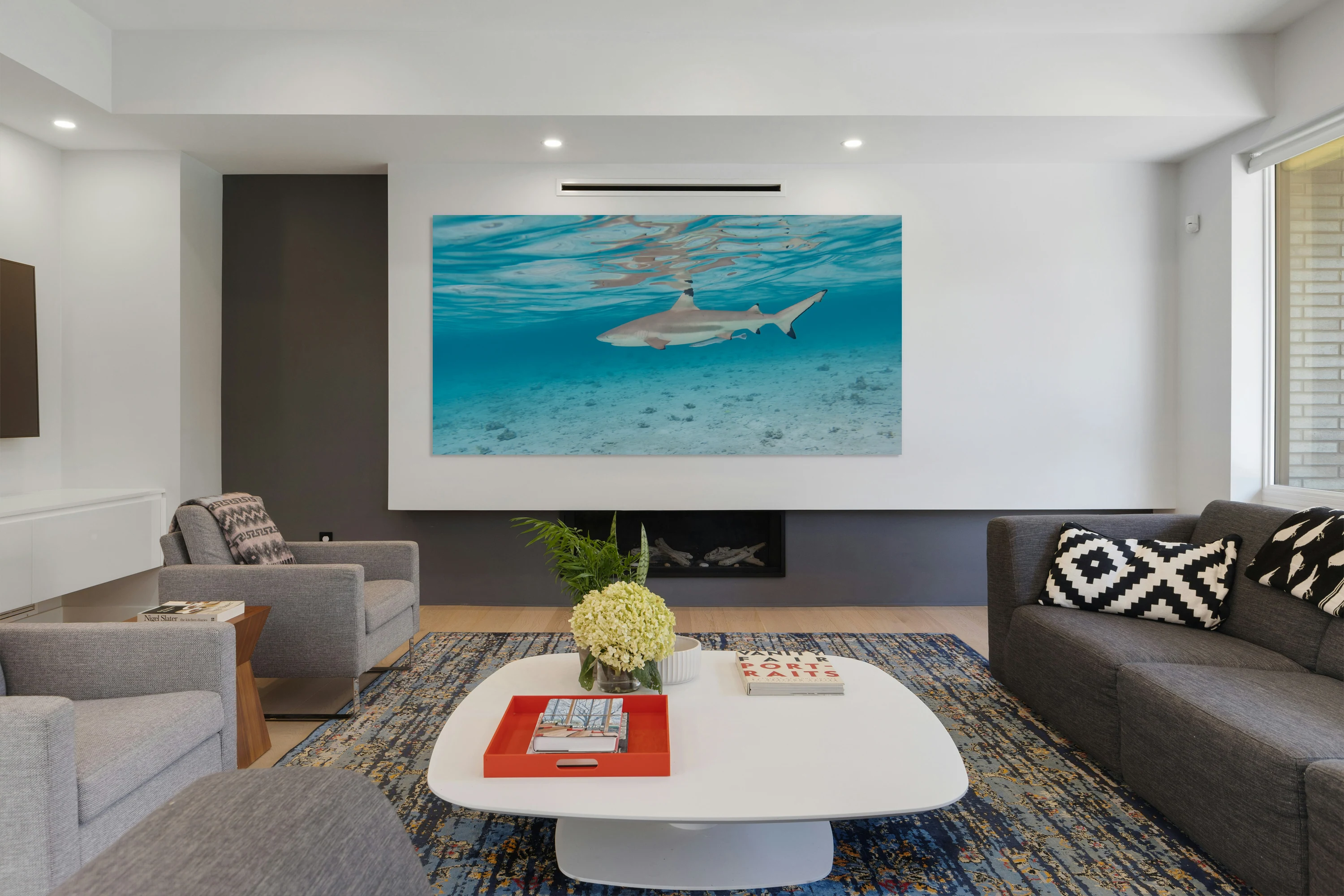 Black Tip Shark