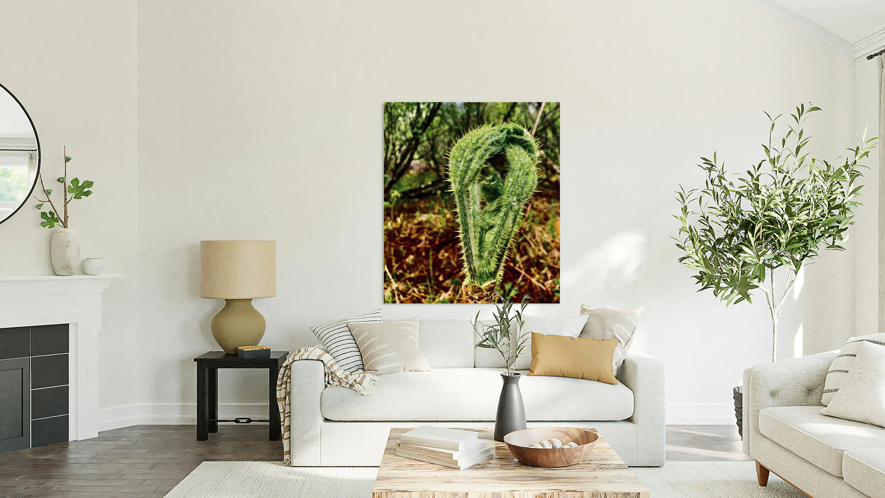 Fiddlehead Fern