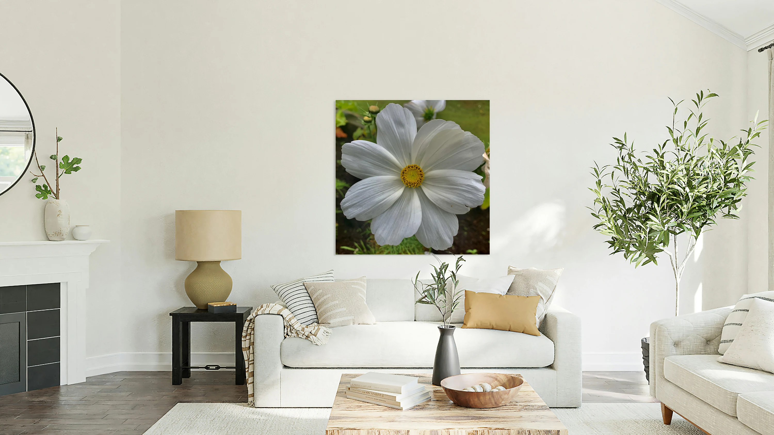 Flower IMG 4483