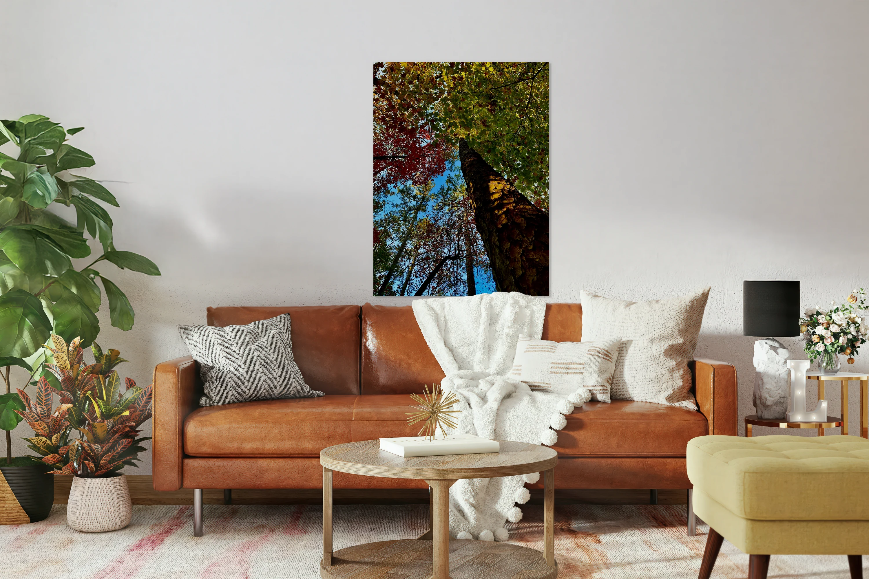 Fall Trees
