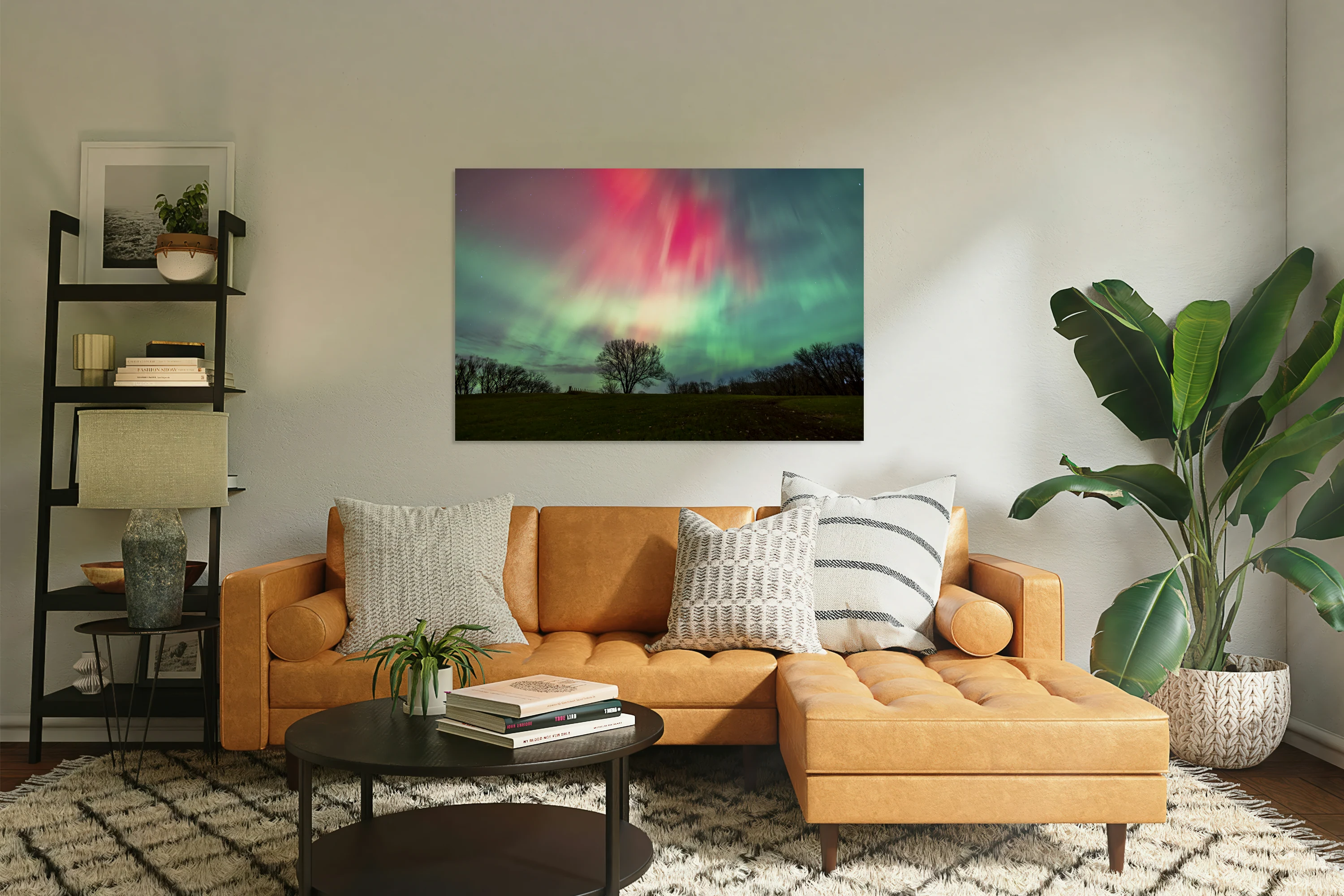 Aurora Colorscape