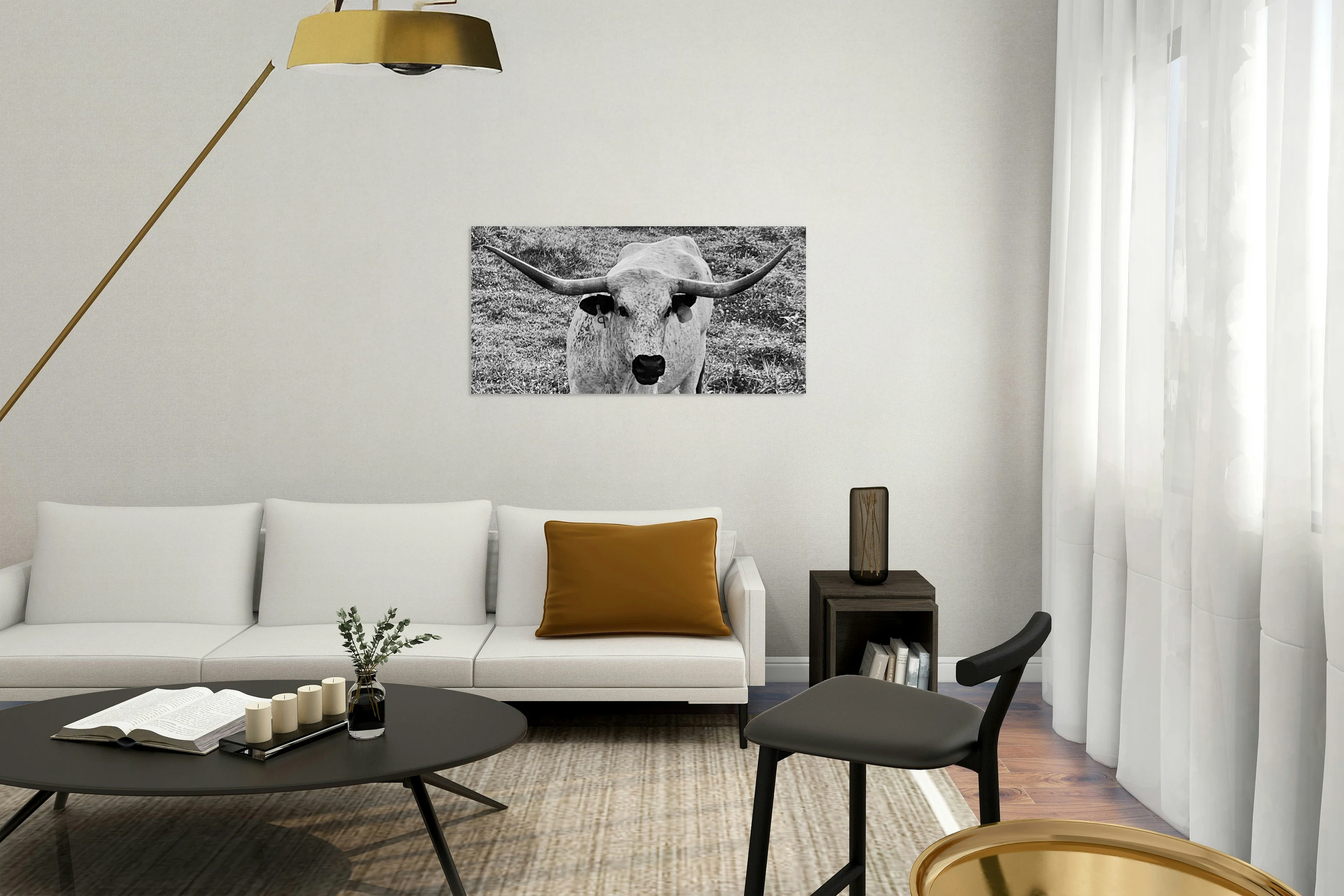 Steer IMG 7721