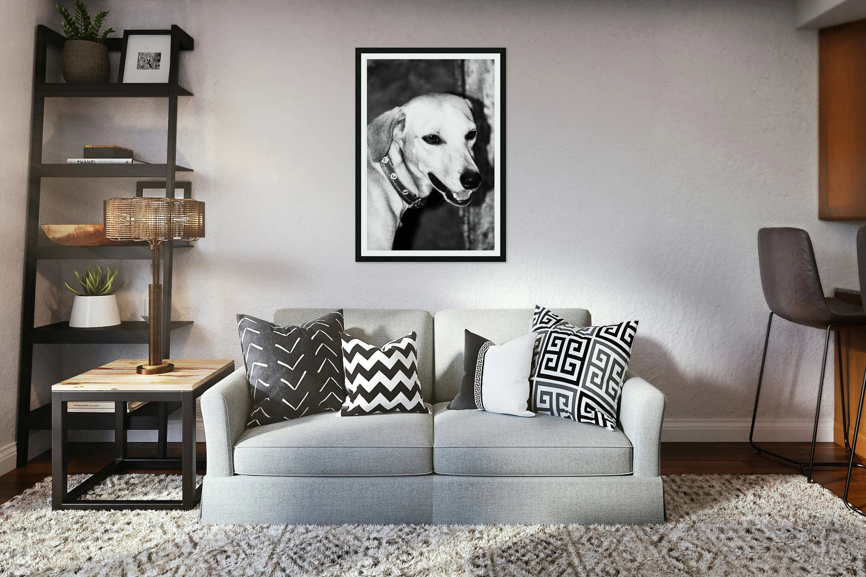 ISOLAMENTO | Cachorro 1