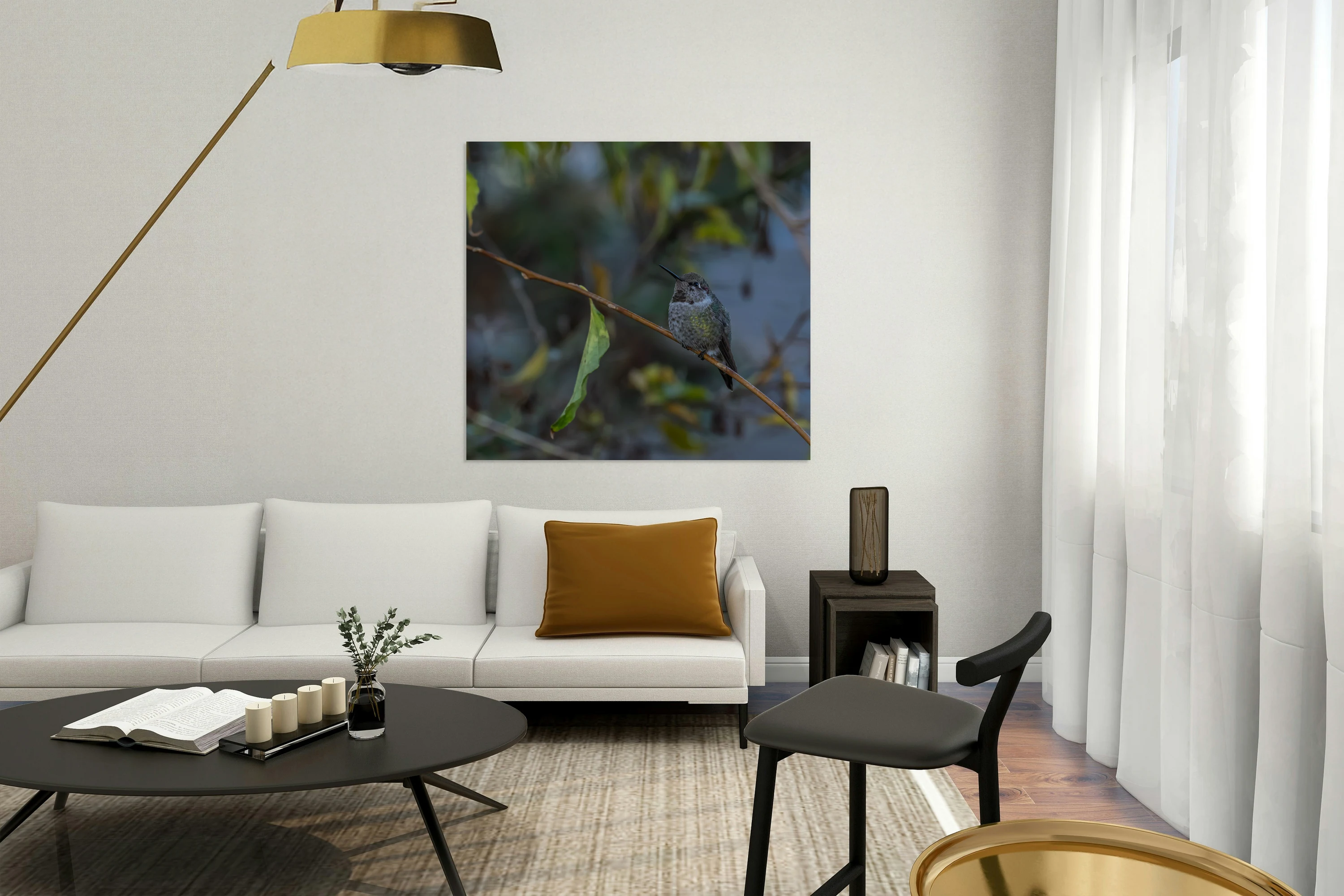 Rufous Hummingbird 3