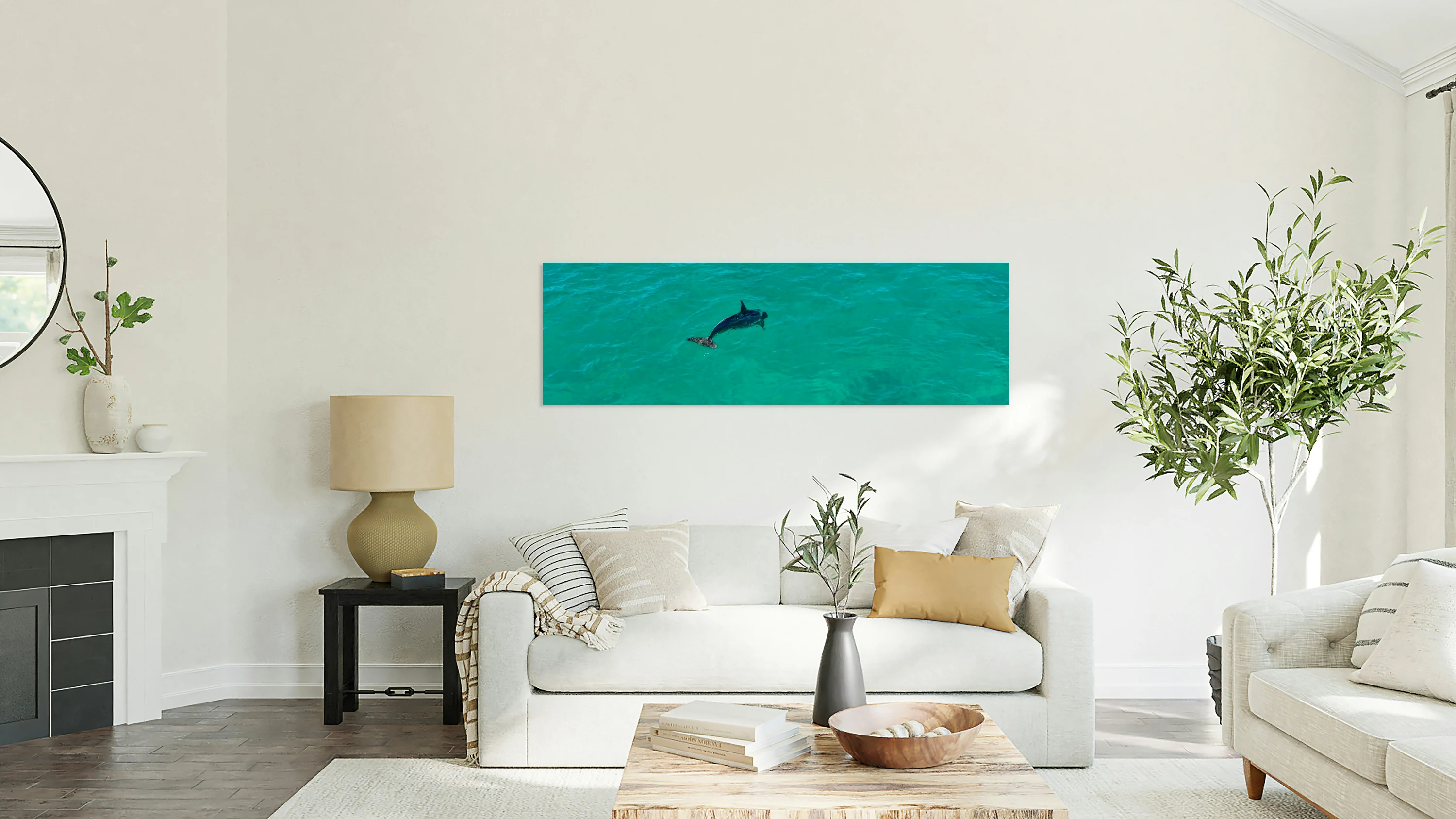Dolphin 2