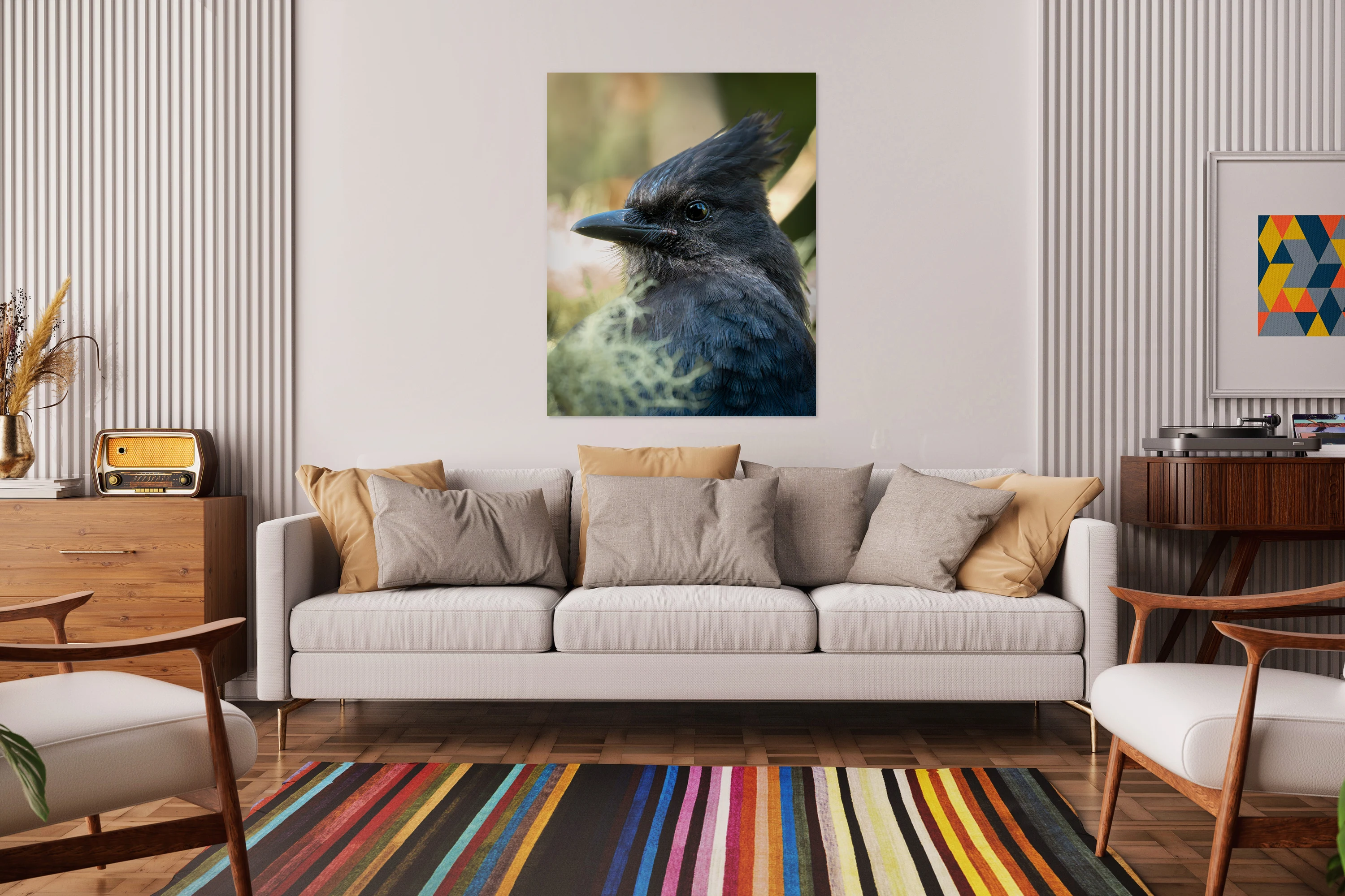 Steller s Jay