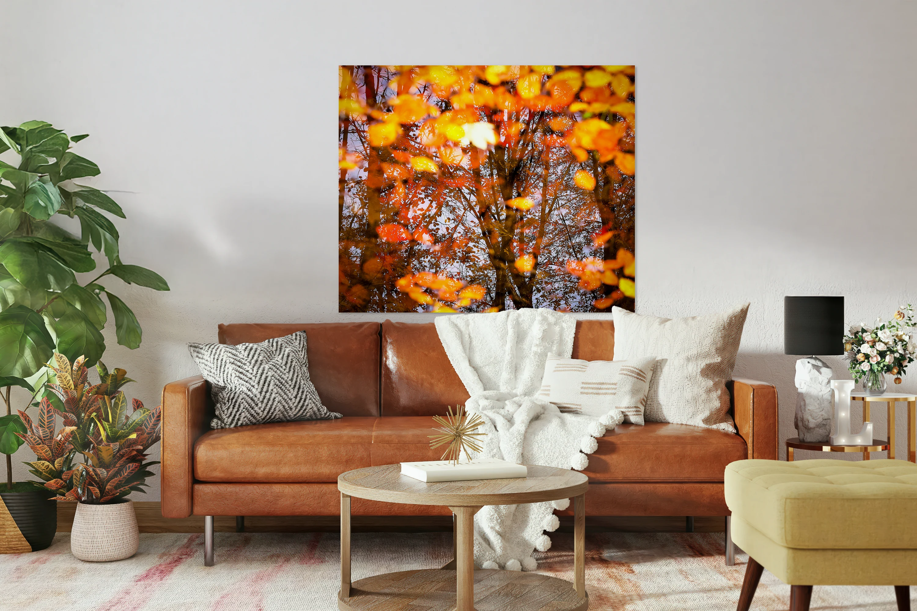 Autumn Reflection