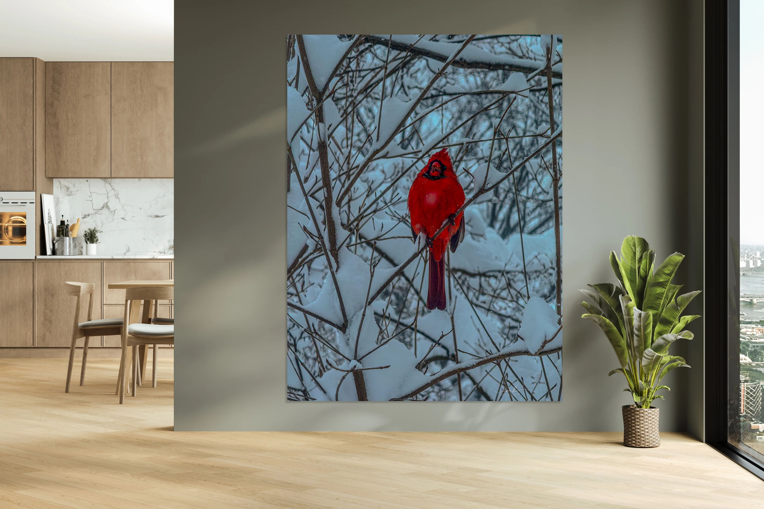 Cardinal in Winter