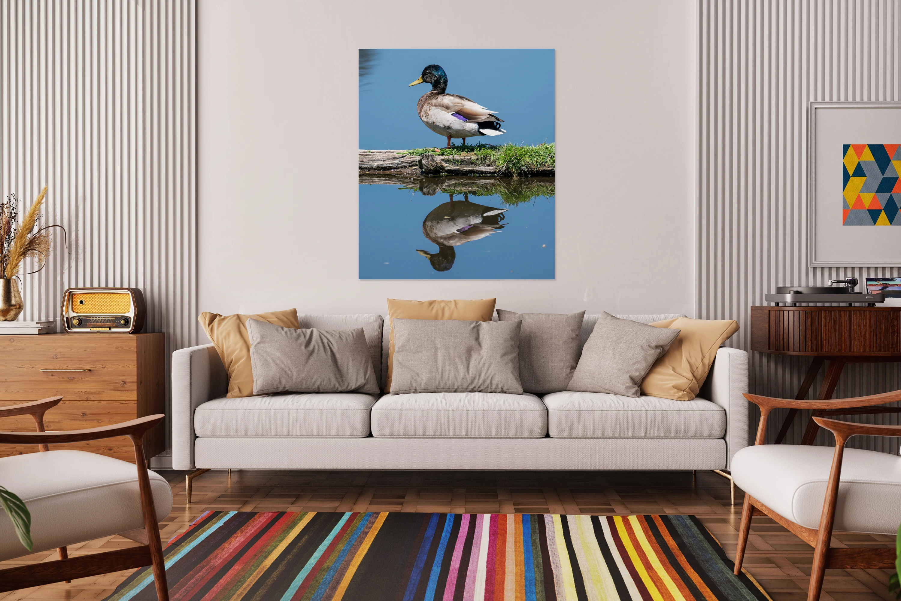 Duck reflection 