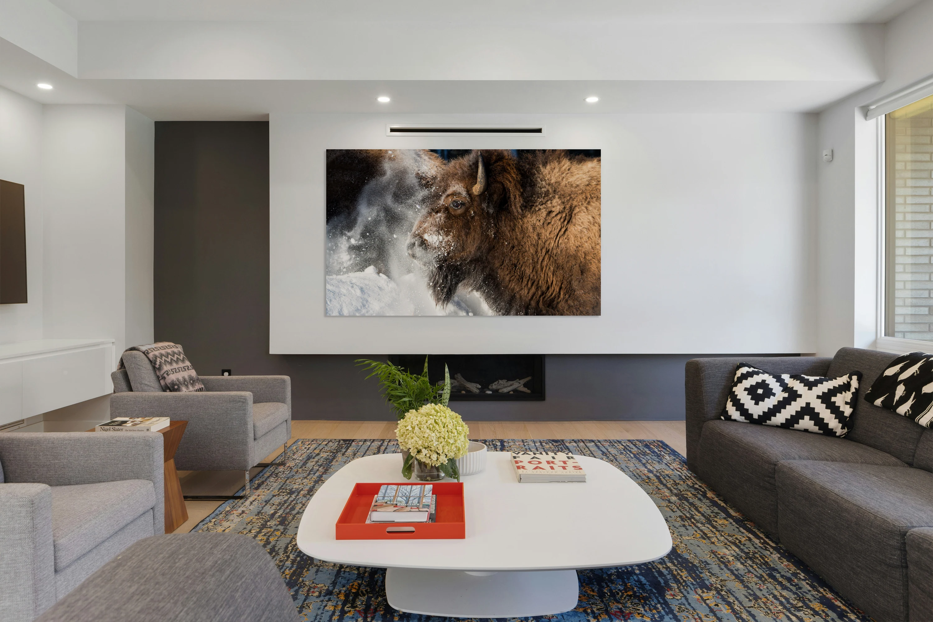 Bison Portrait