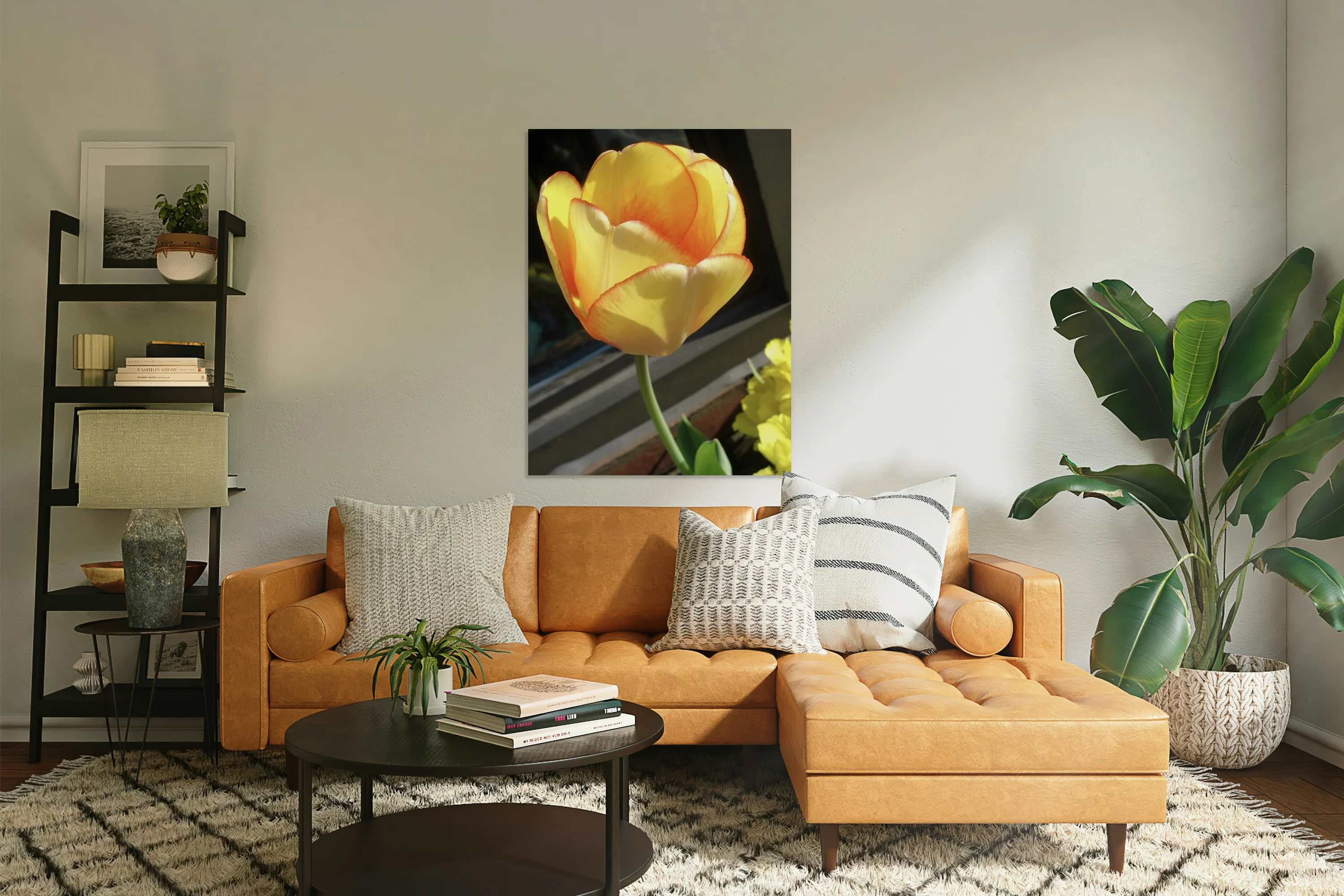 IMG 0332