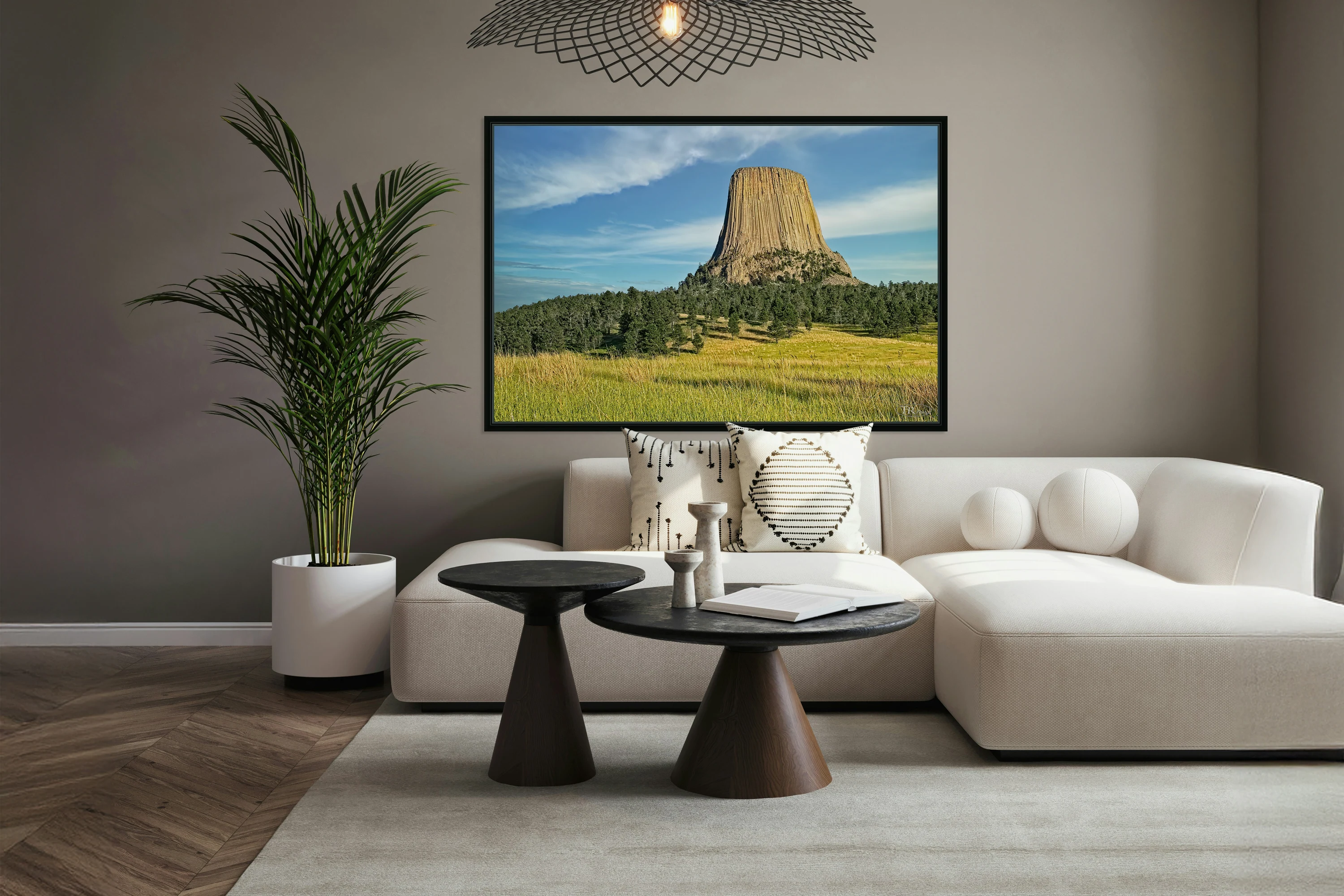 Devil s Tower  WY