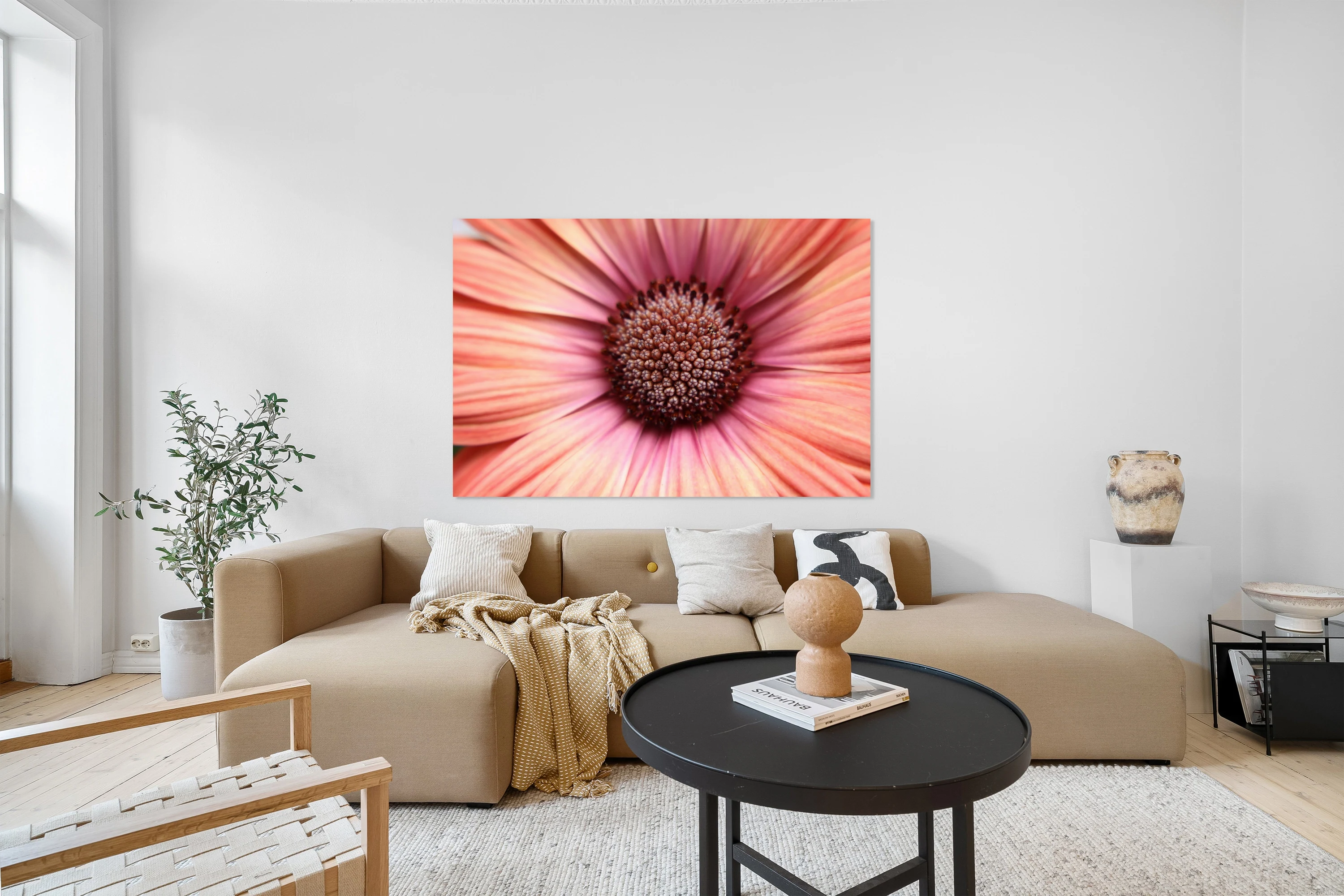 Pink Flower