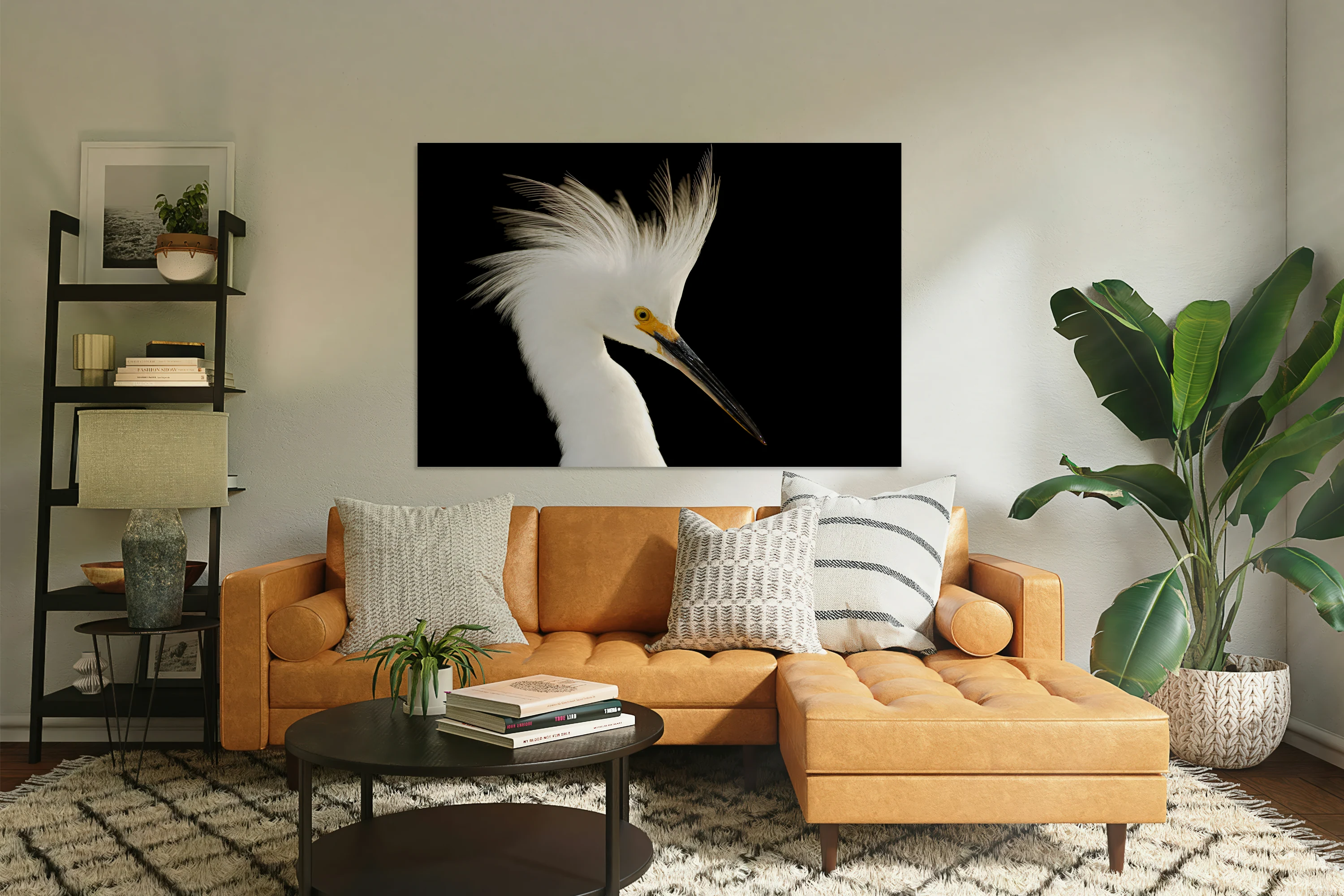 Snowy Egret