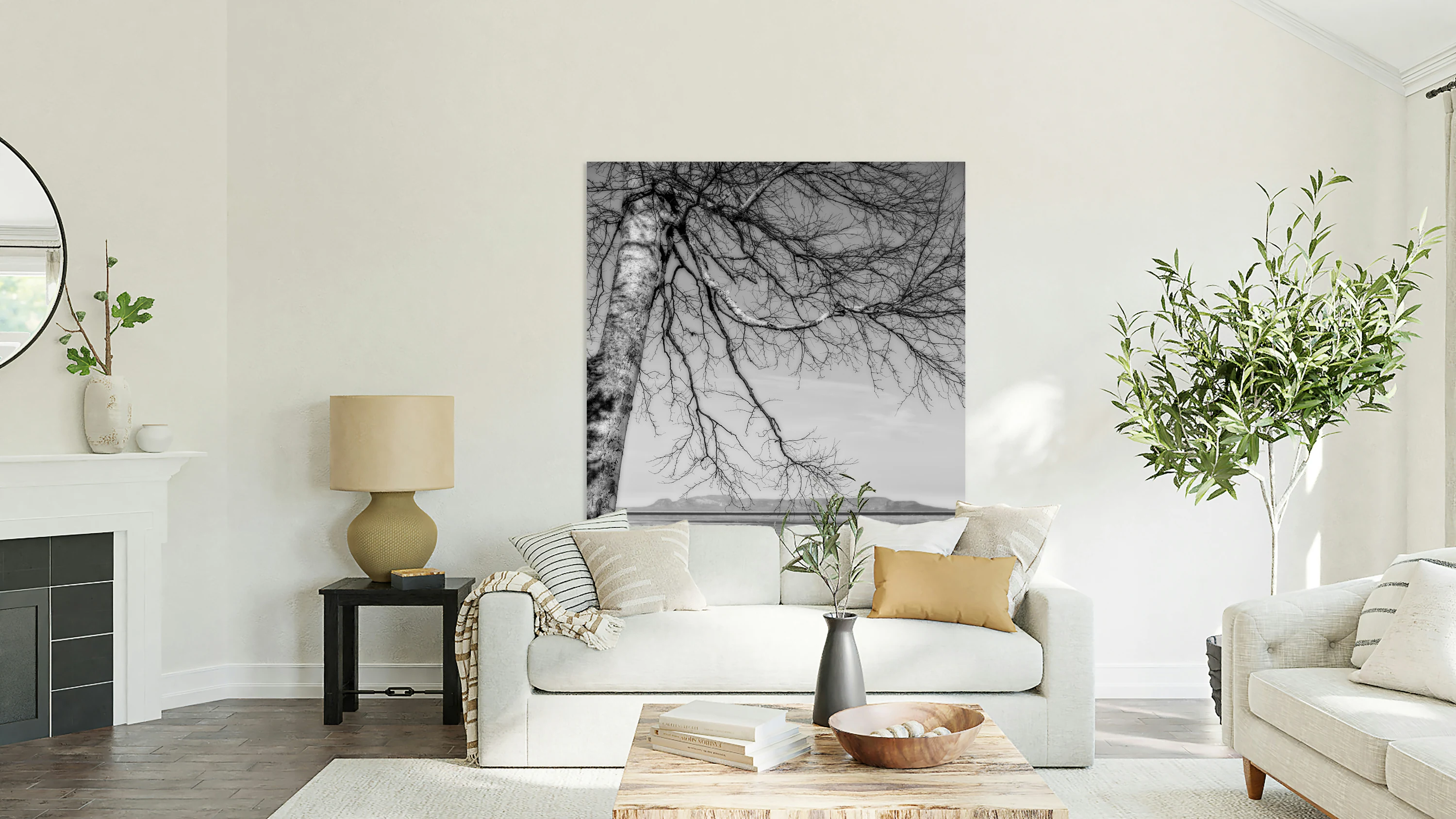 Weathered Birch