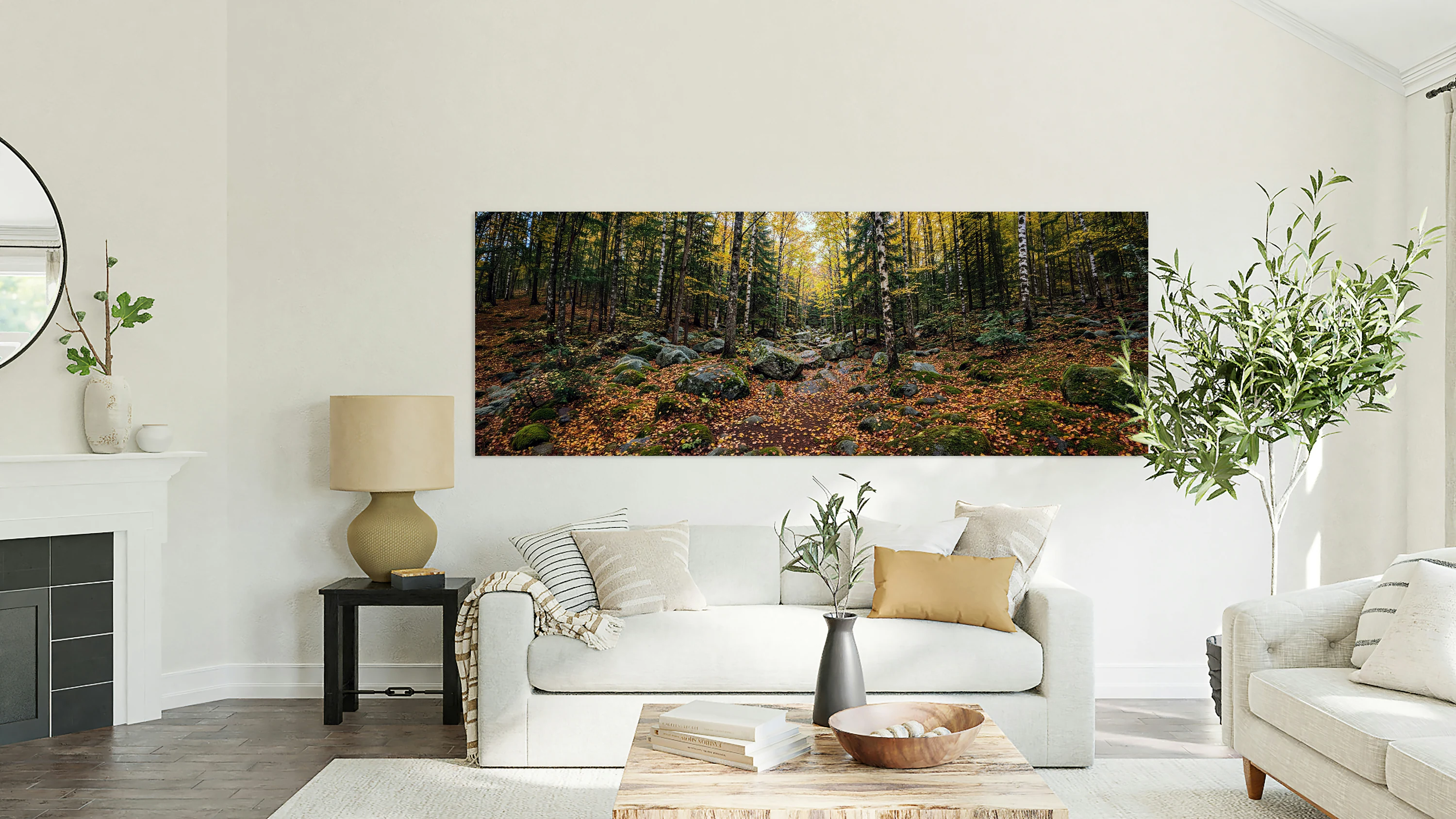Vermont Woods