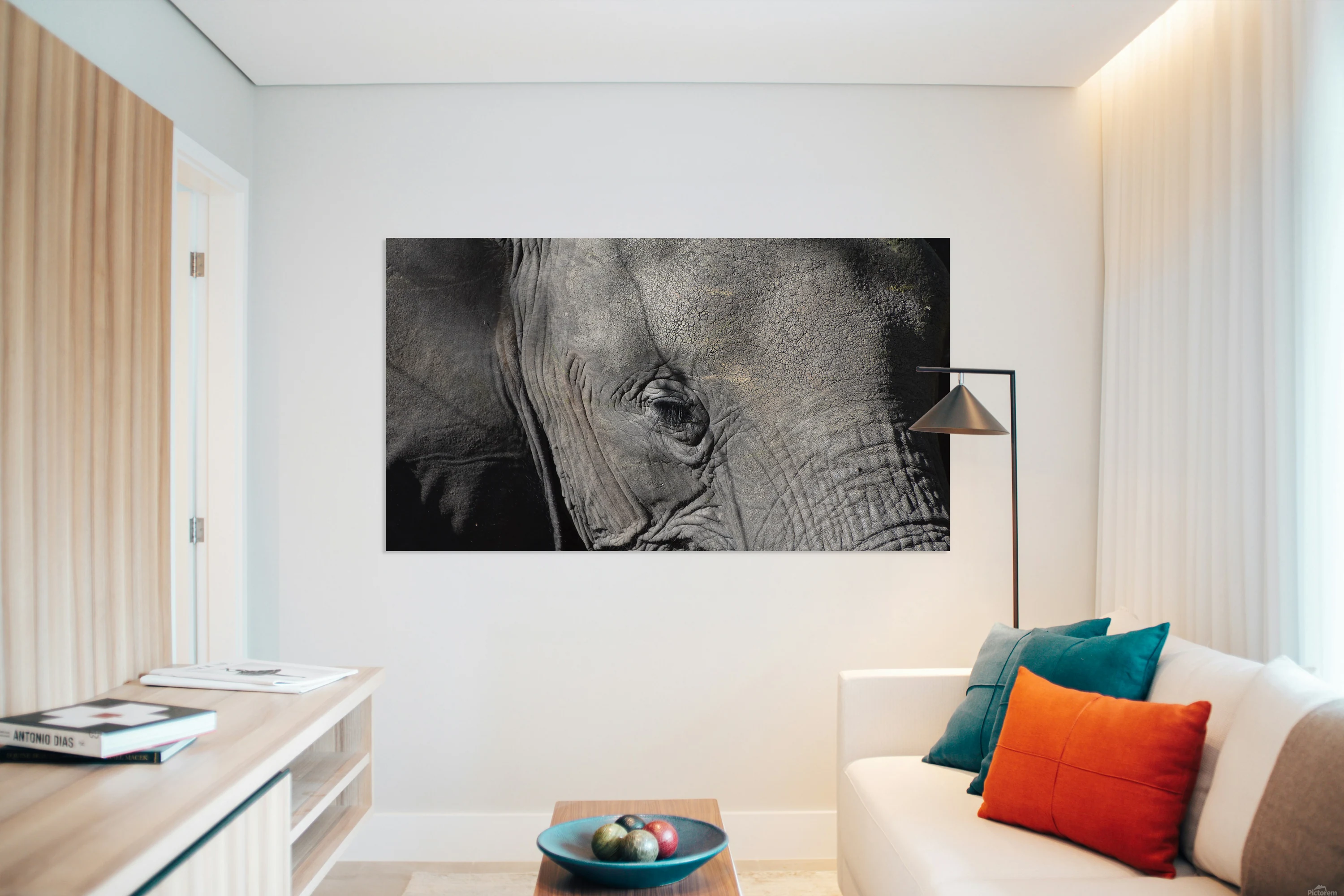 Elephant Eye