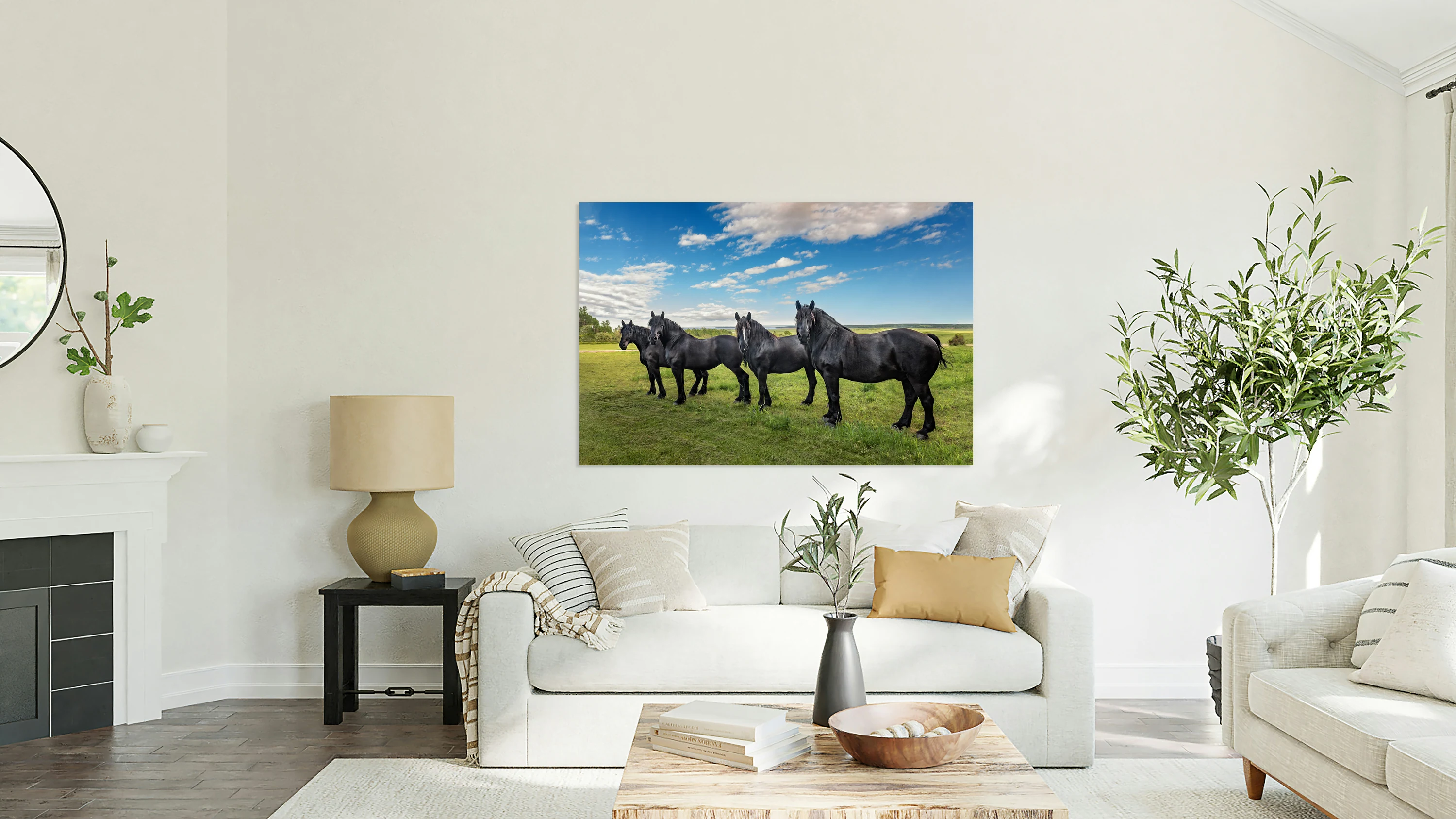 Black Percherons
