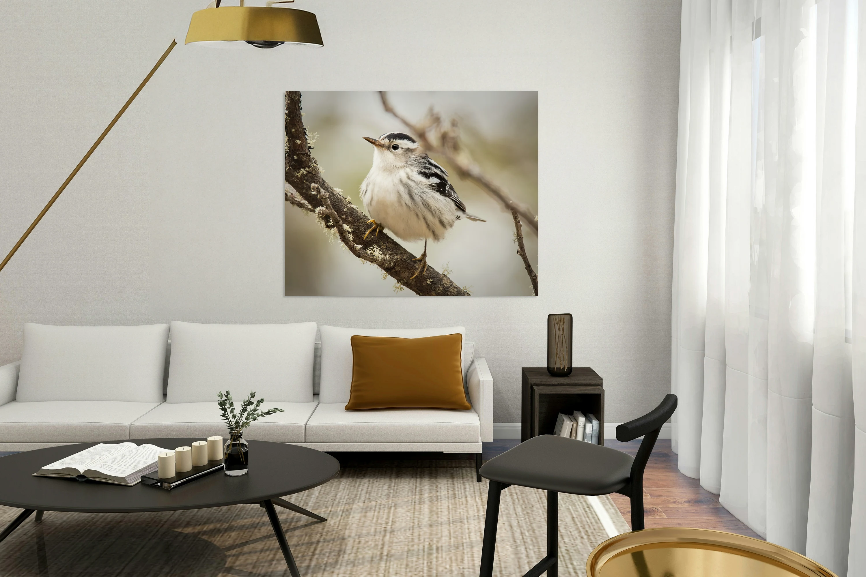 Black and White Warbler