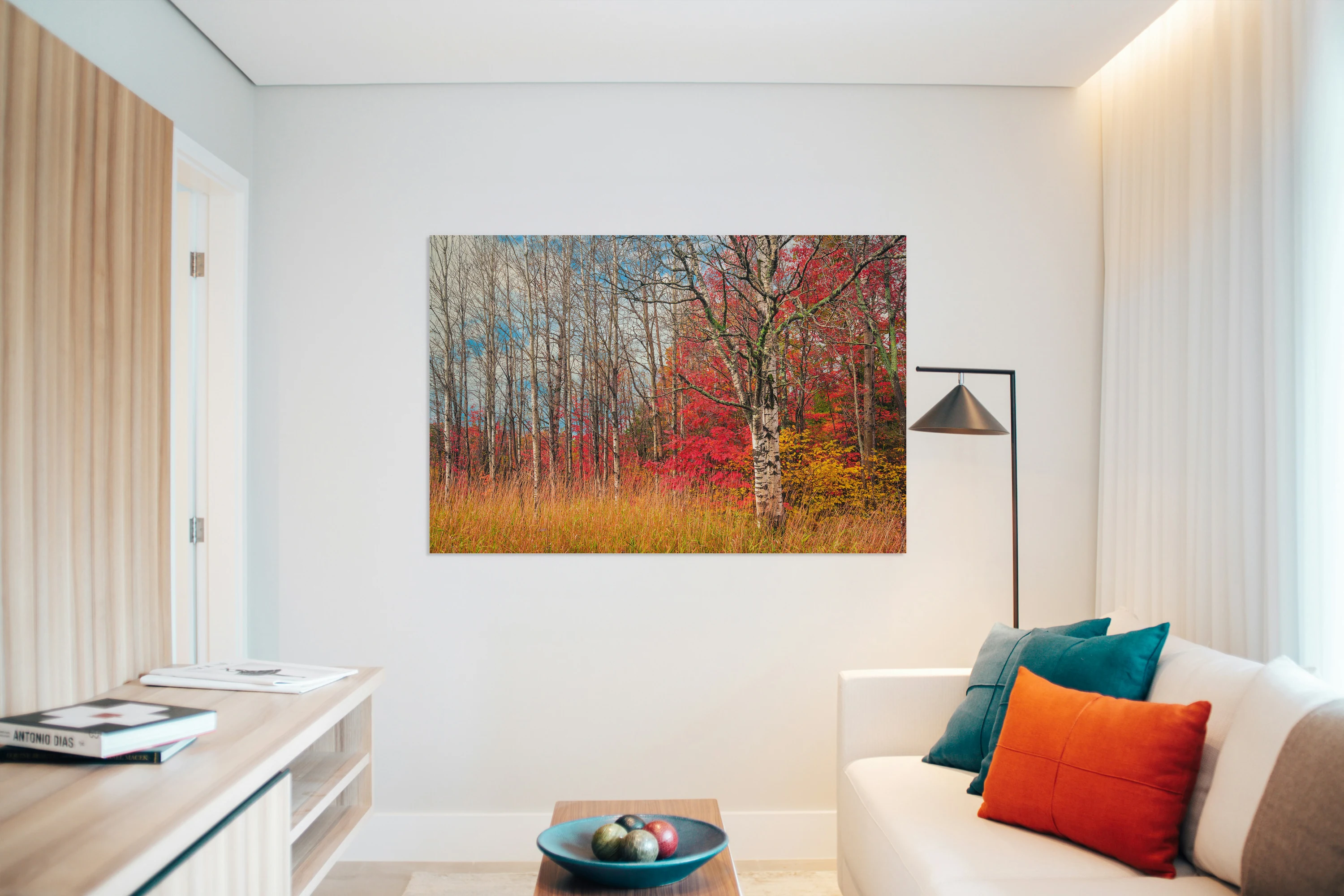 Autumn Birch