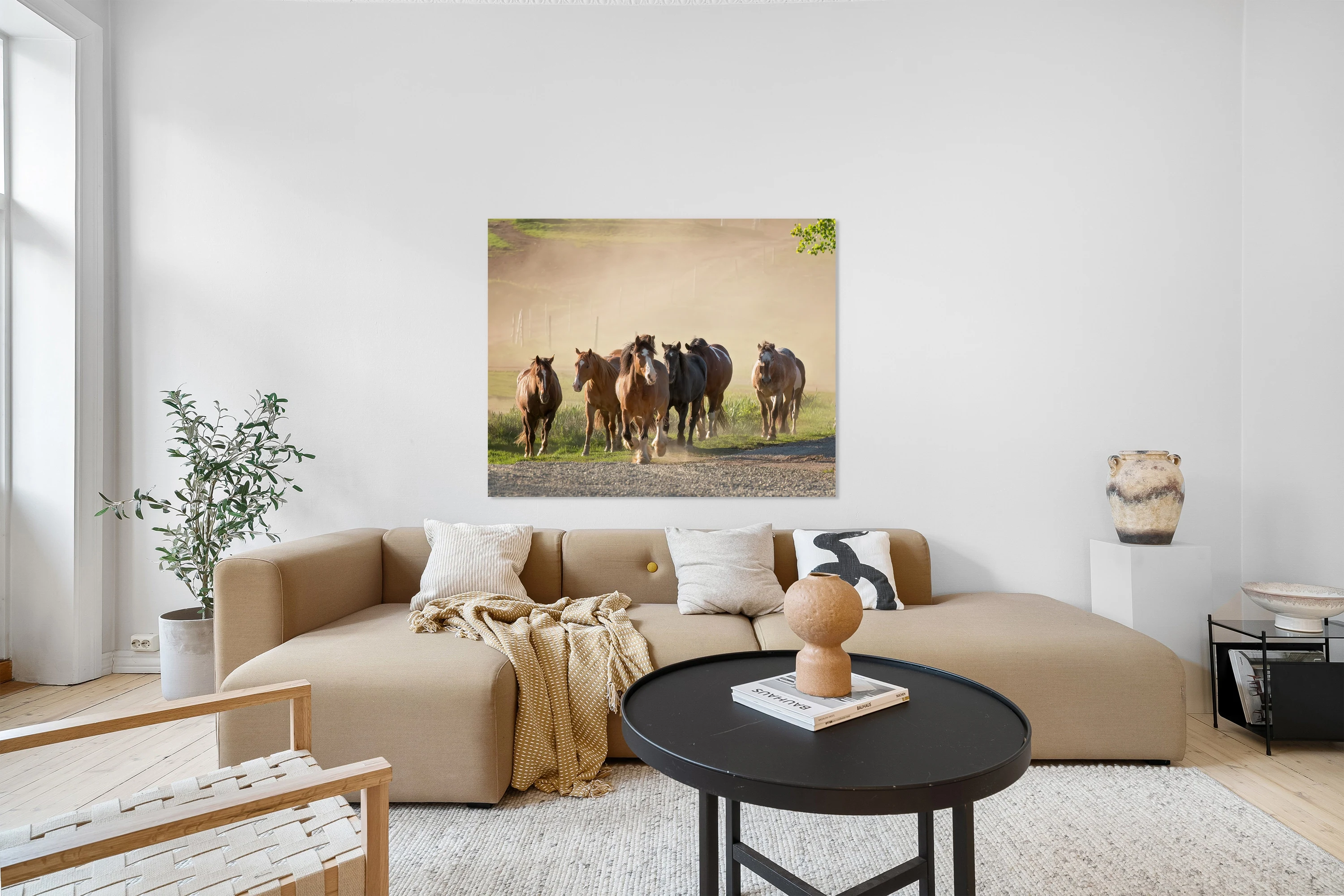 Running Horses