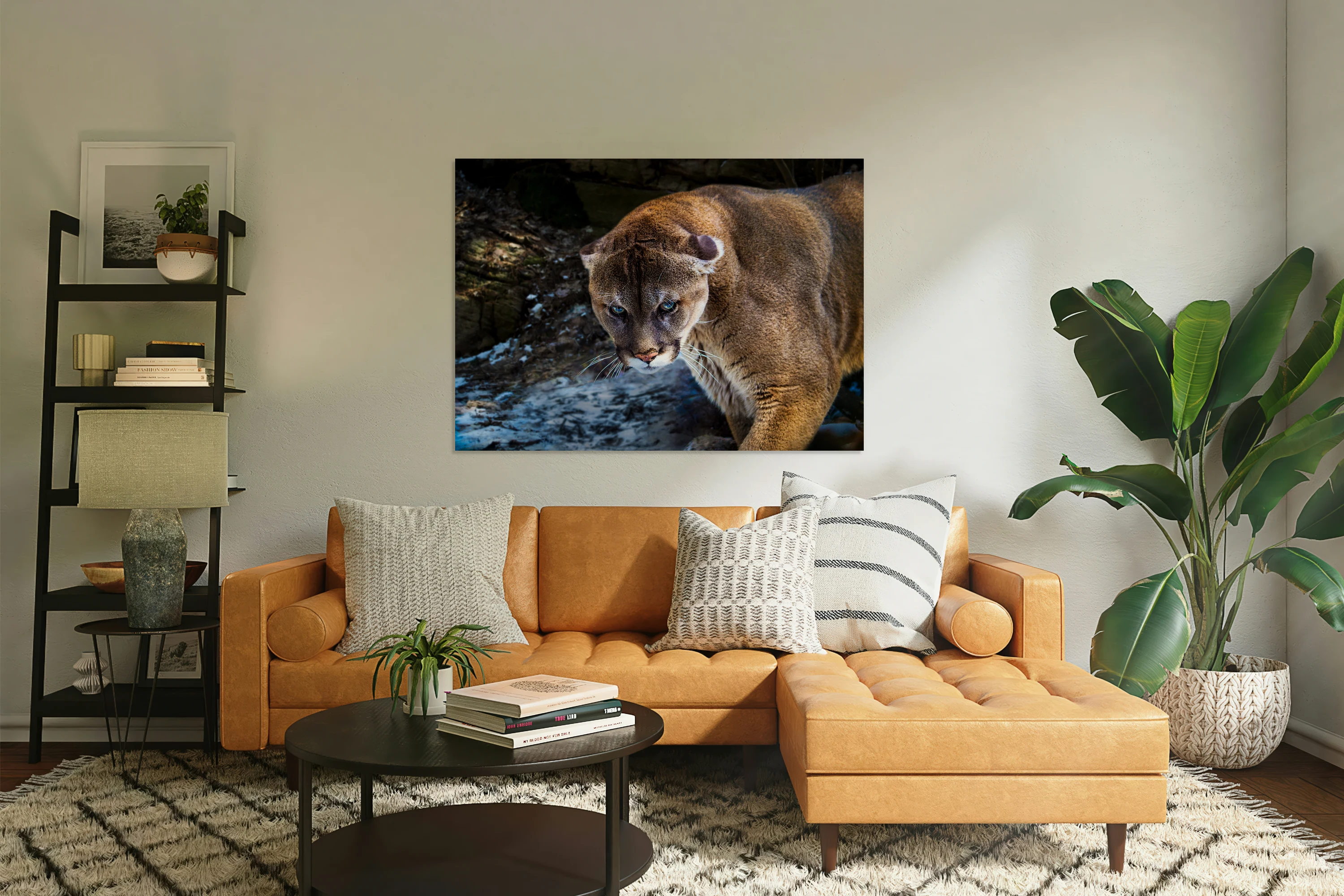 Mountain Lion Stare Down
